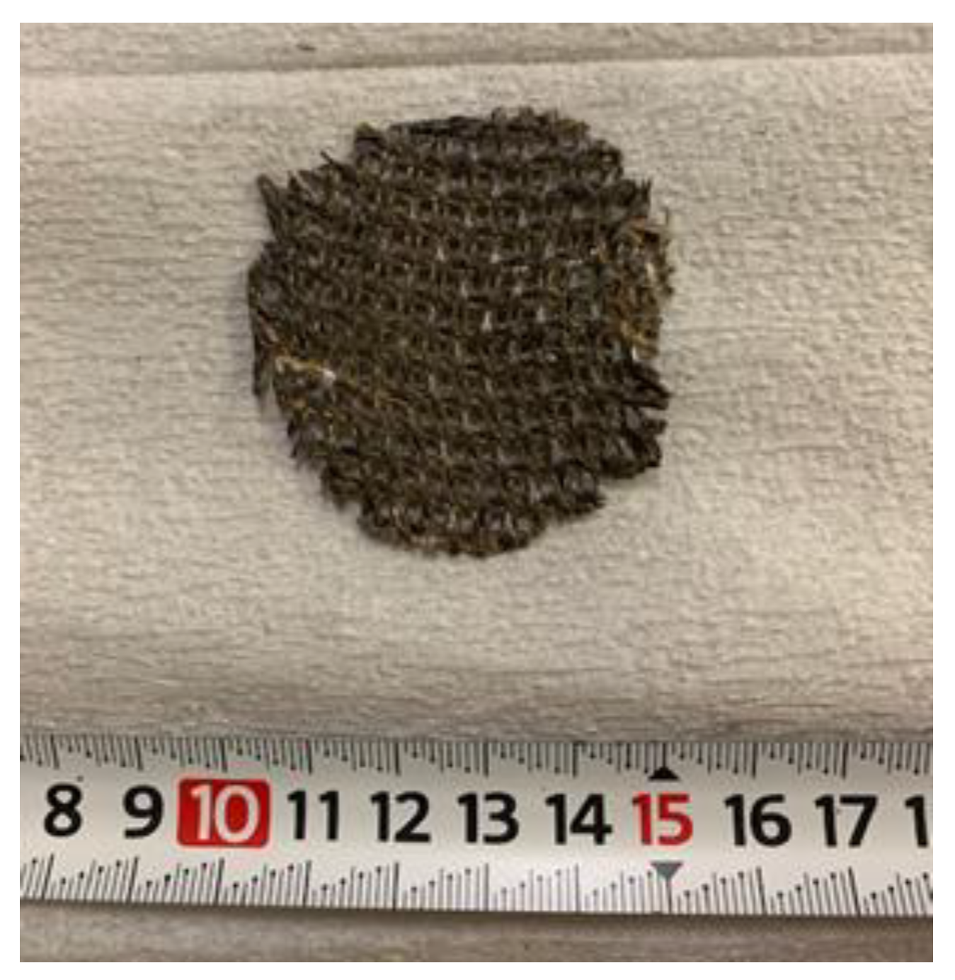 Catalysts 14 00270 g013