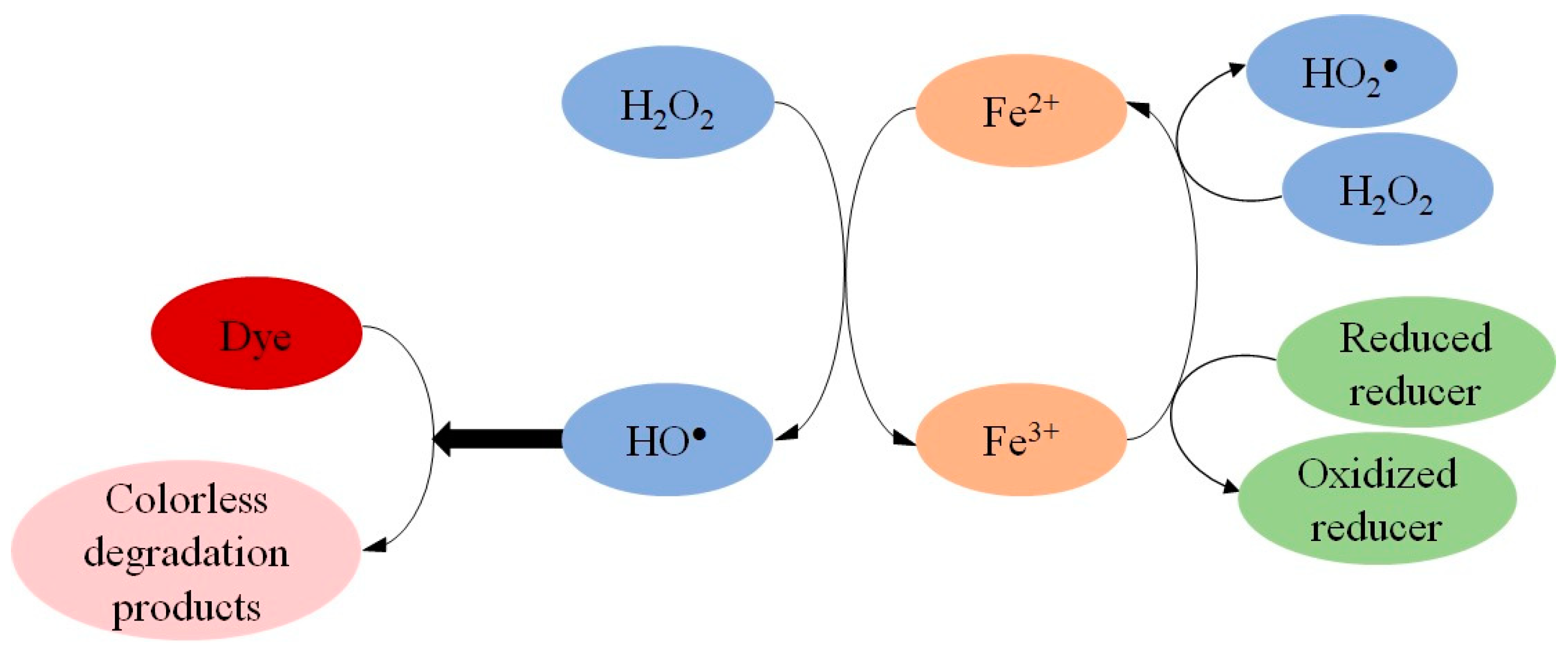 Catalysts 14 00273 g001
