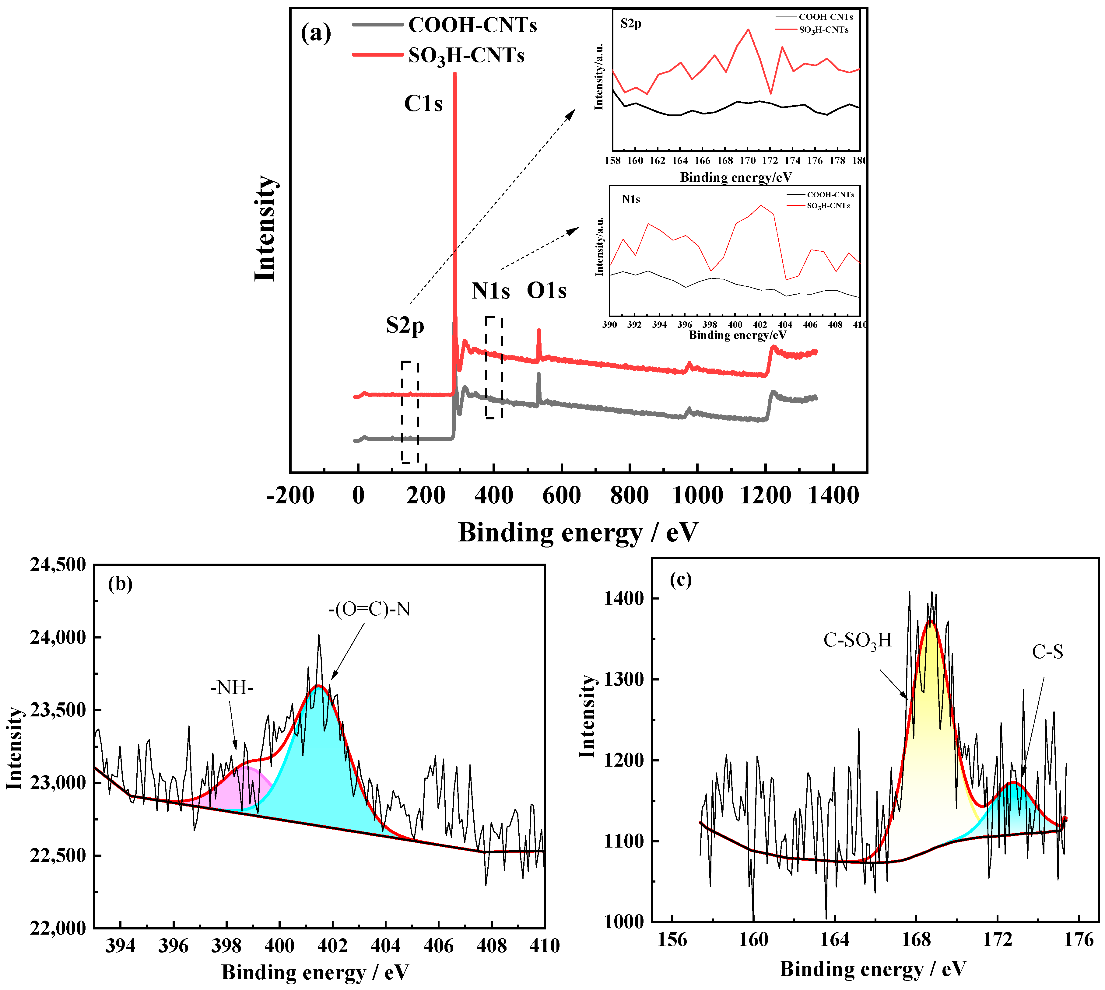 Catalysts 14 00281 g005
