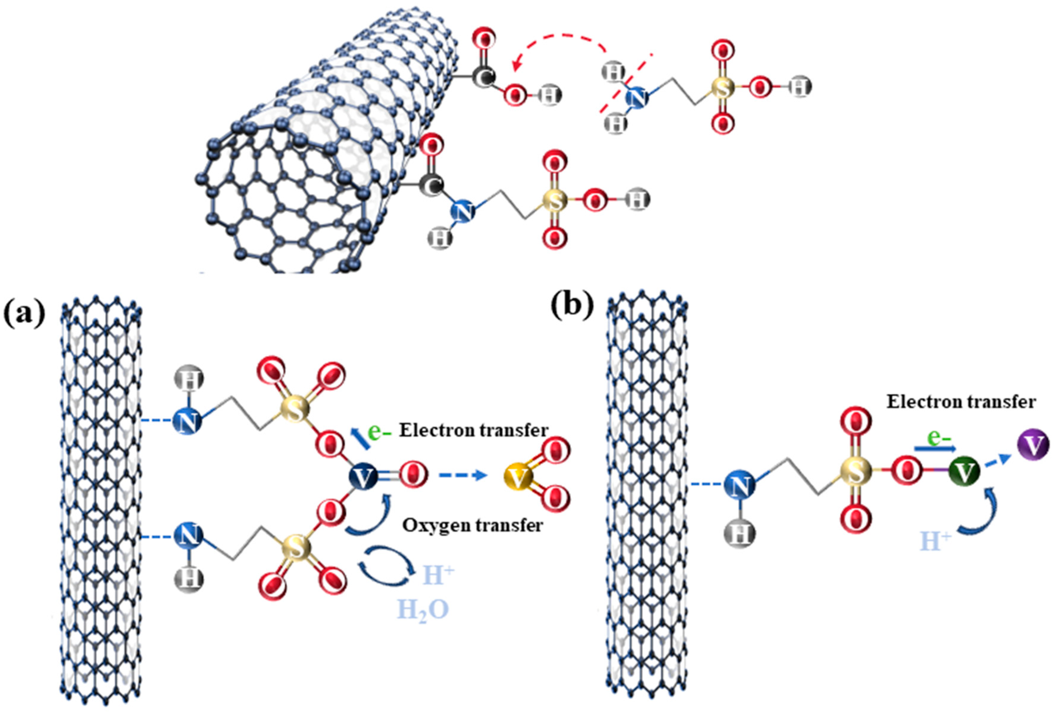 Catalysts 14 00281 g007