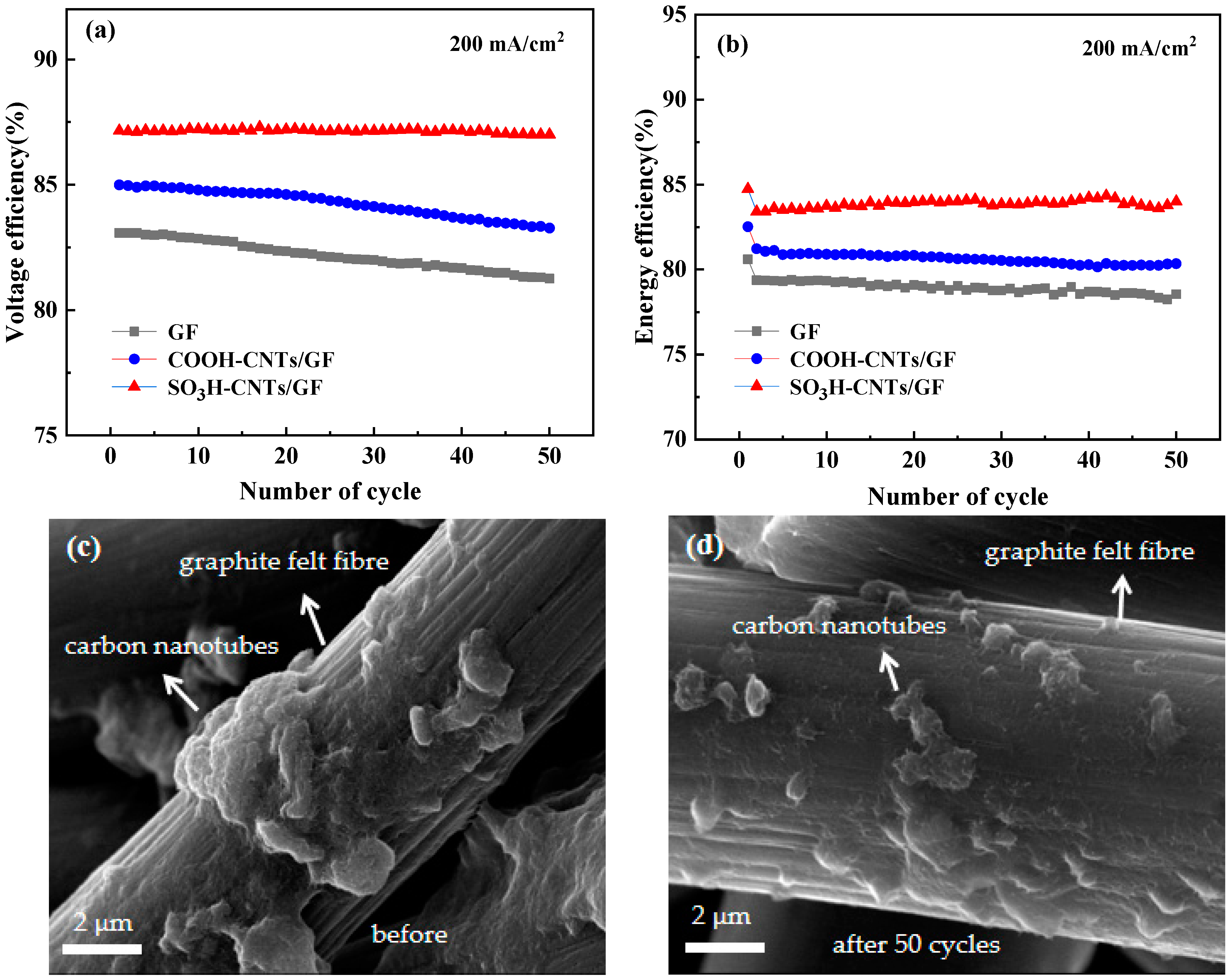 Catalysts 14 00281 g009