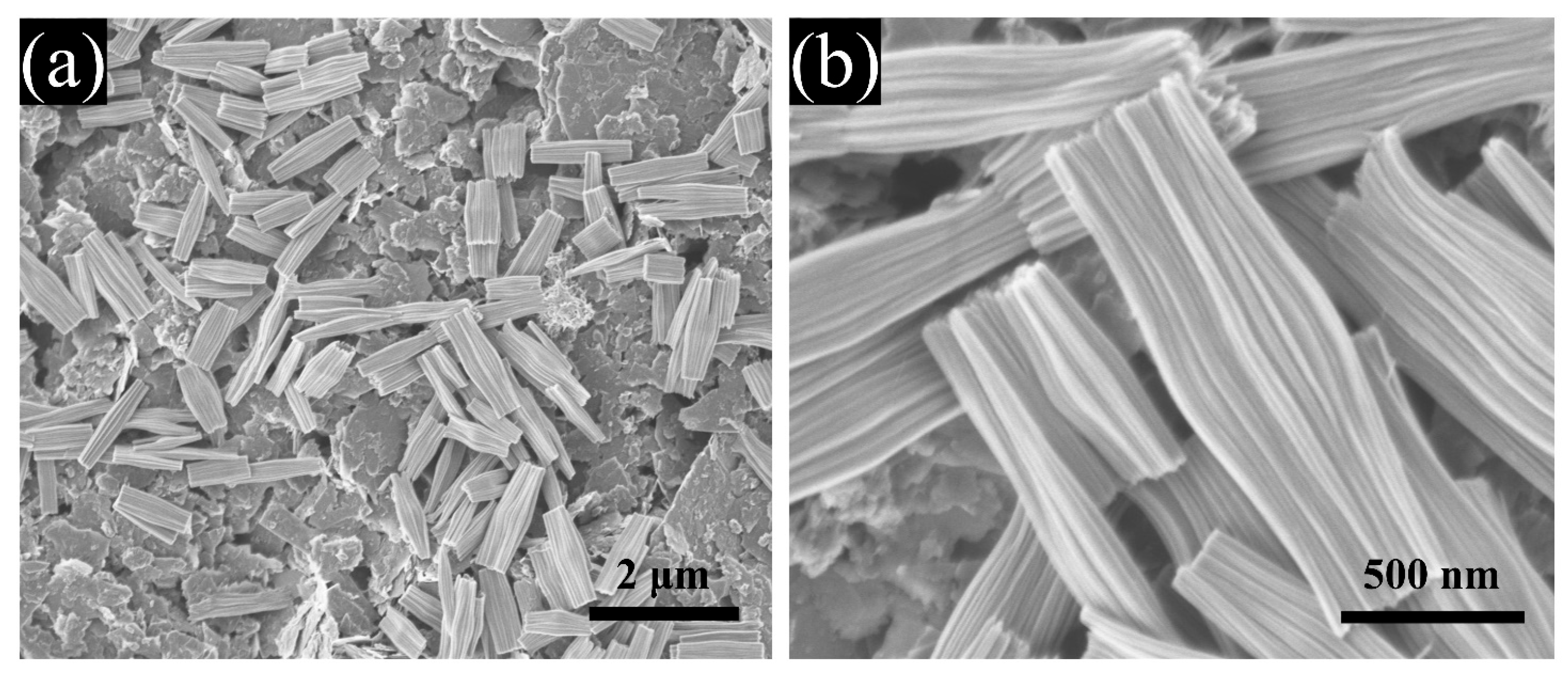 Catalysts 14 00283 g002