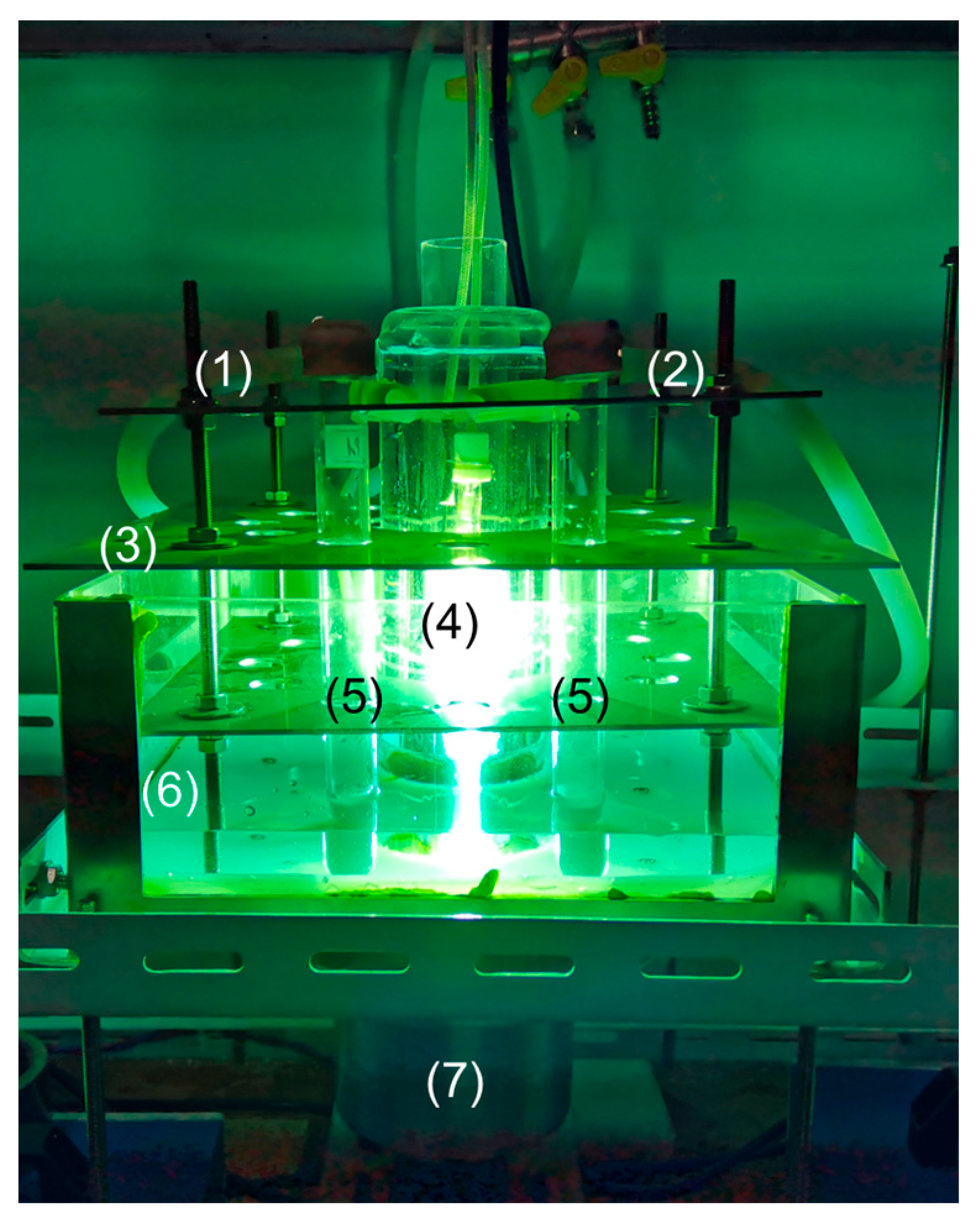 Catalysts 14 00283 g012