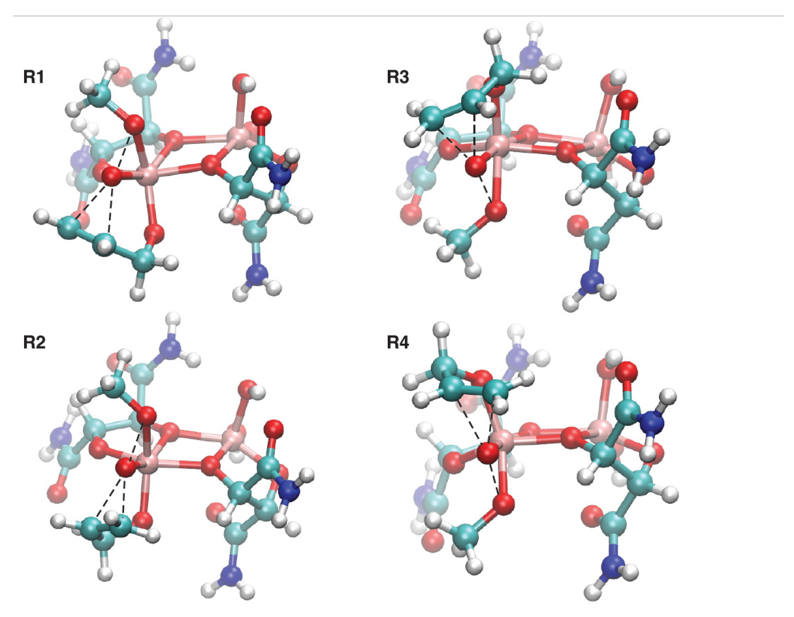 Catalysts 14 00285 g005