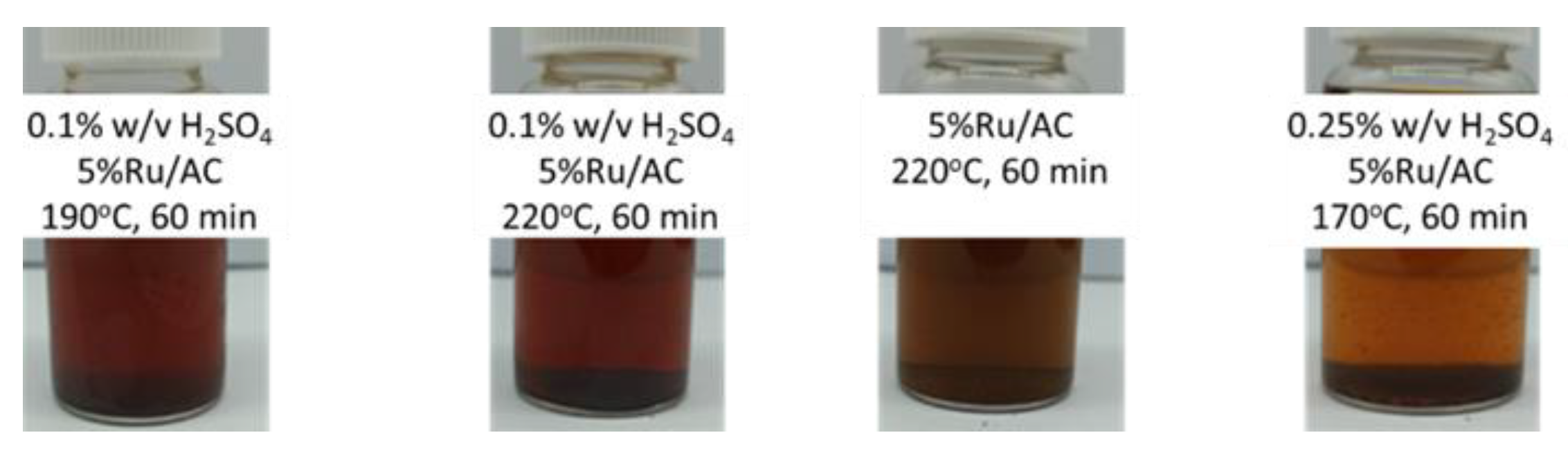 Catalysts 14 00286 g006
