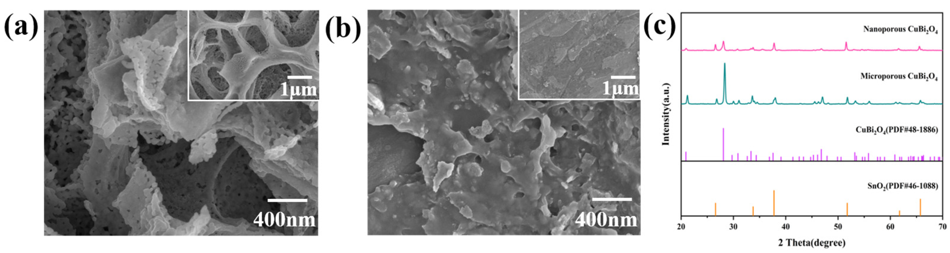 Catalysts 14 00289 g001