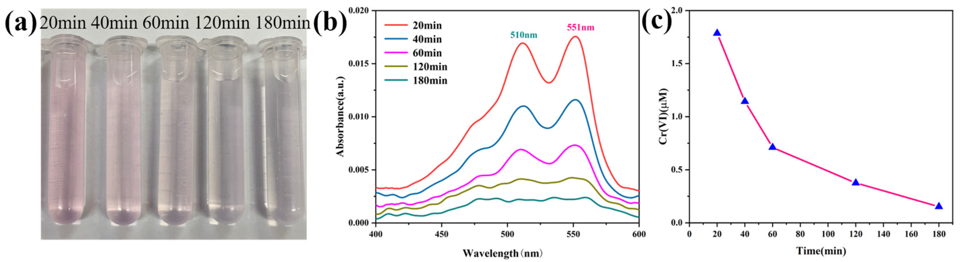 Catalysts 14 00289 g004