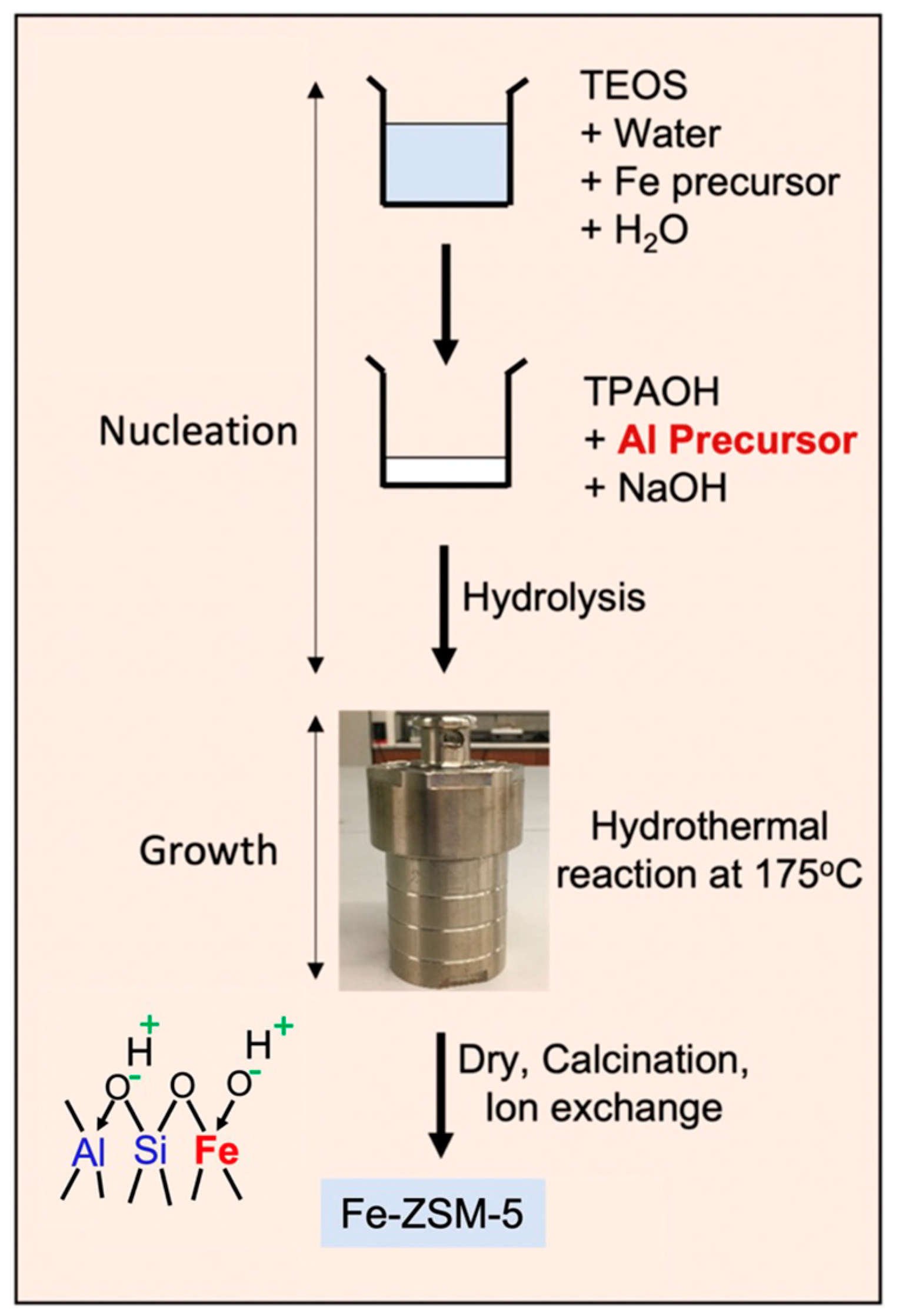 Catalysts 14 00292 g001