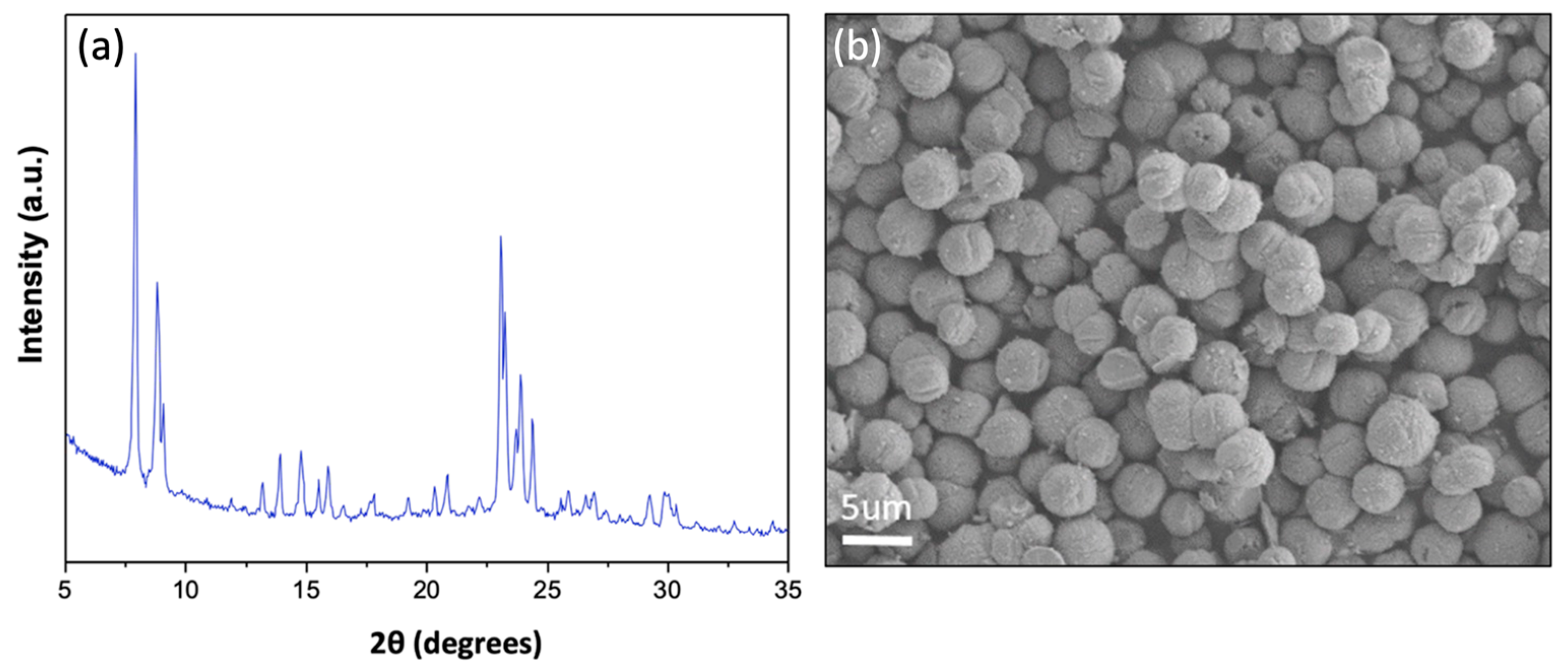 Catalysts 14 00292 g002