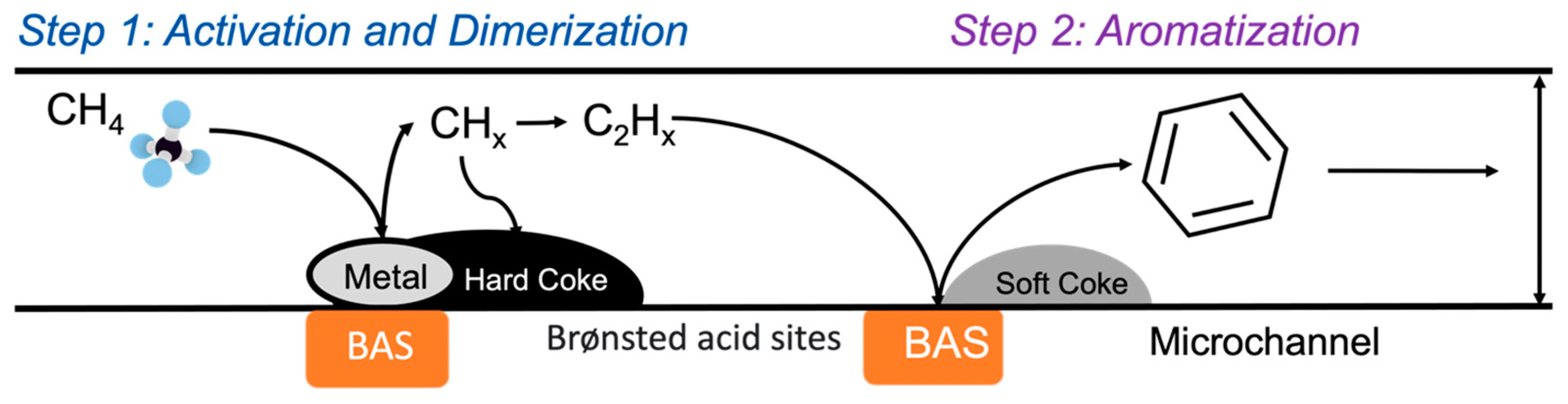 Catalysts 14 00292 g008