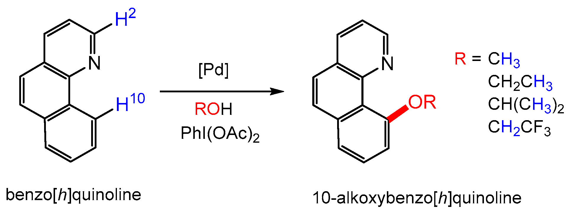 Catalysts 14 00295 g001