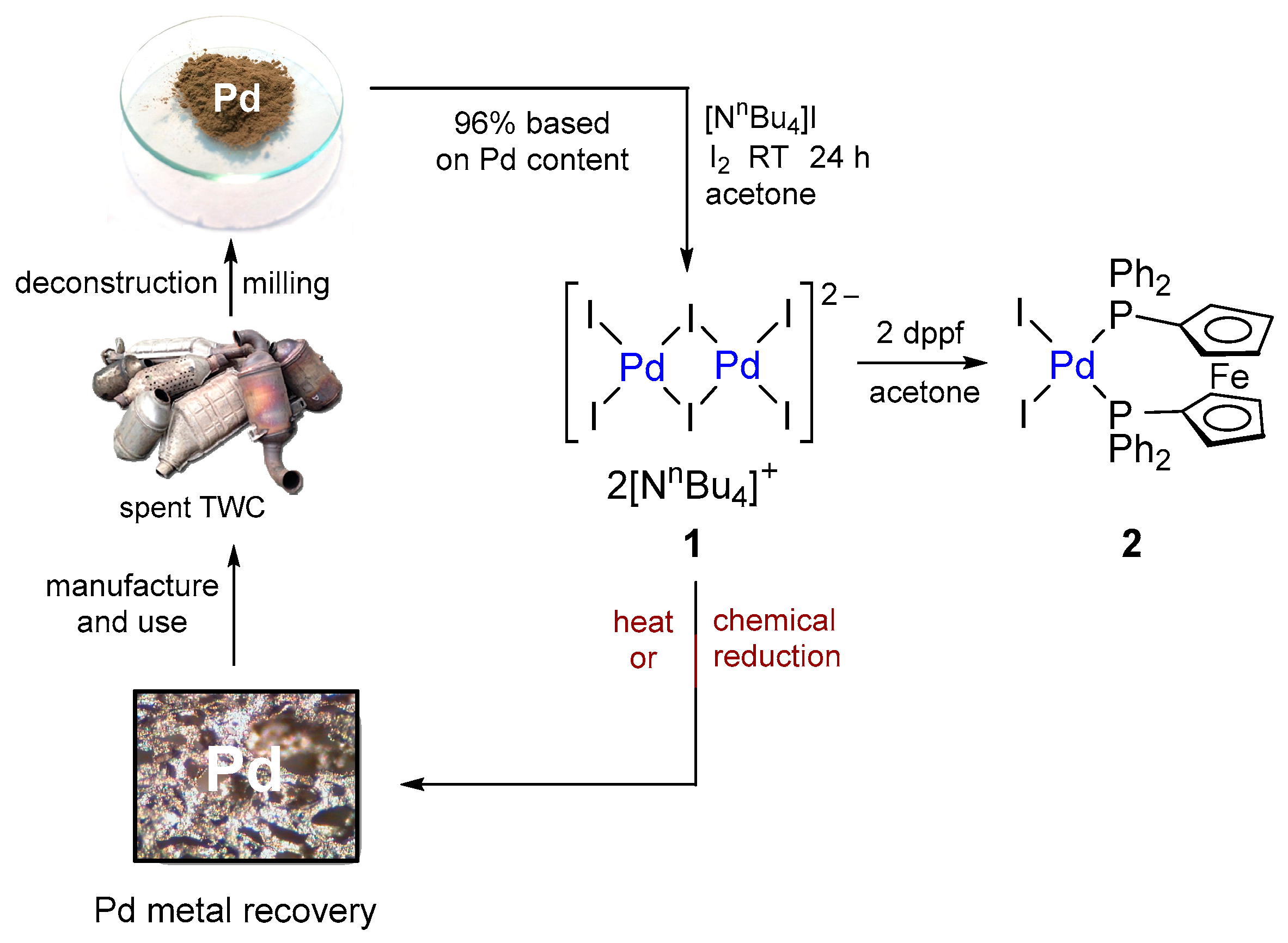 Catalysts 14 00295 g002