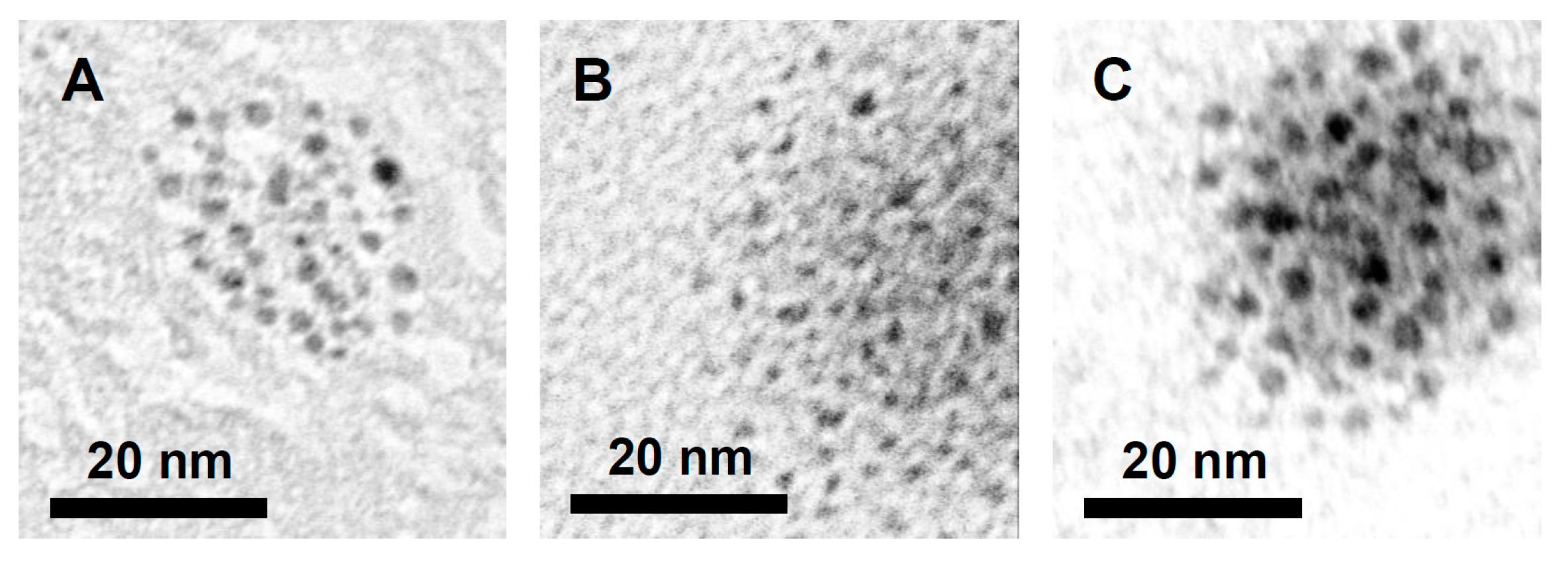 Catalysts 14 00295 g007
