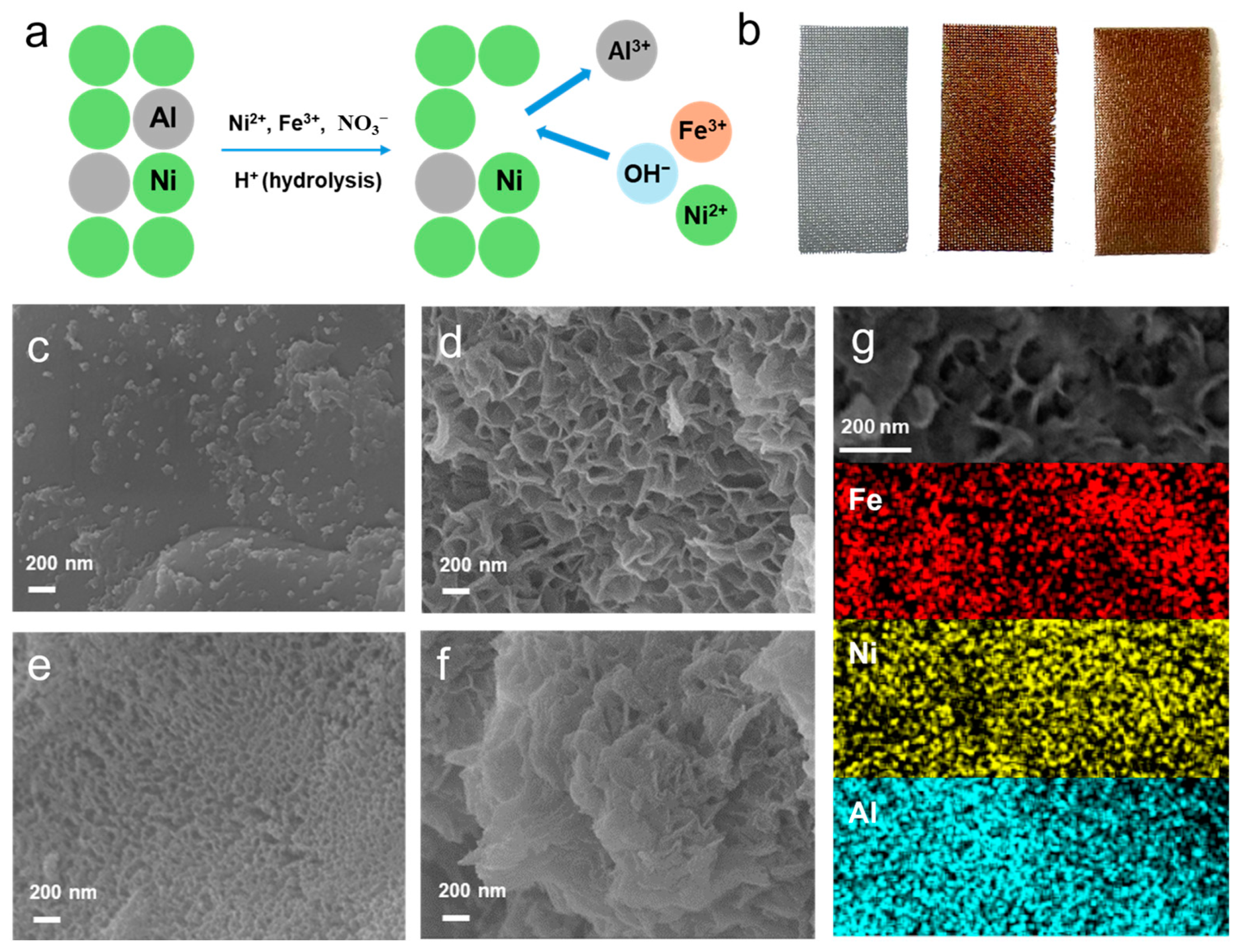 Catalysts 14 00296 g001