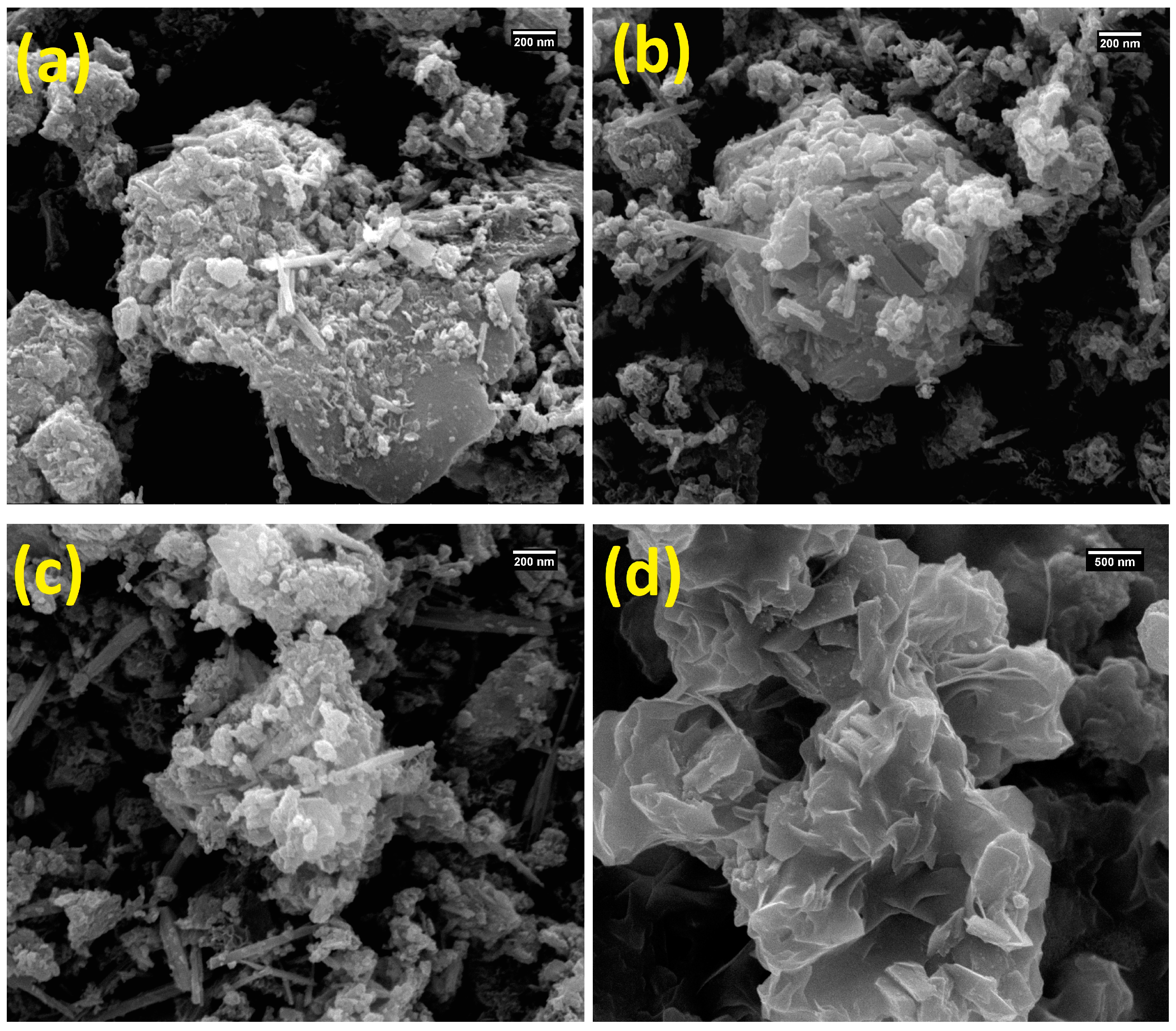 Catalysts 14 00302 g002
