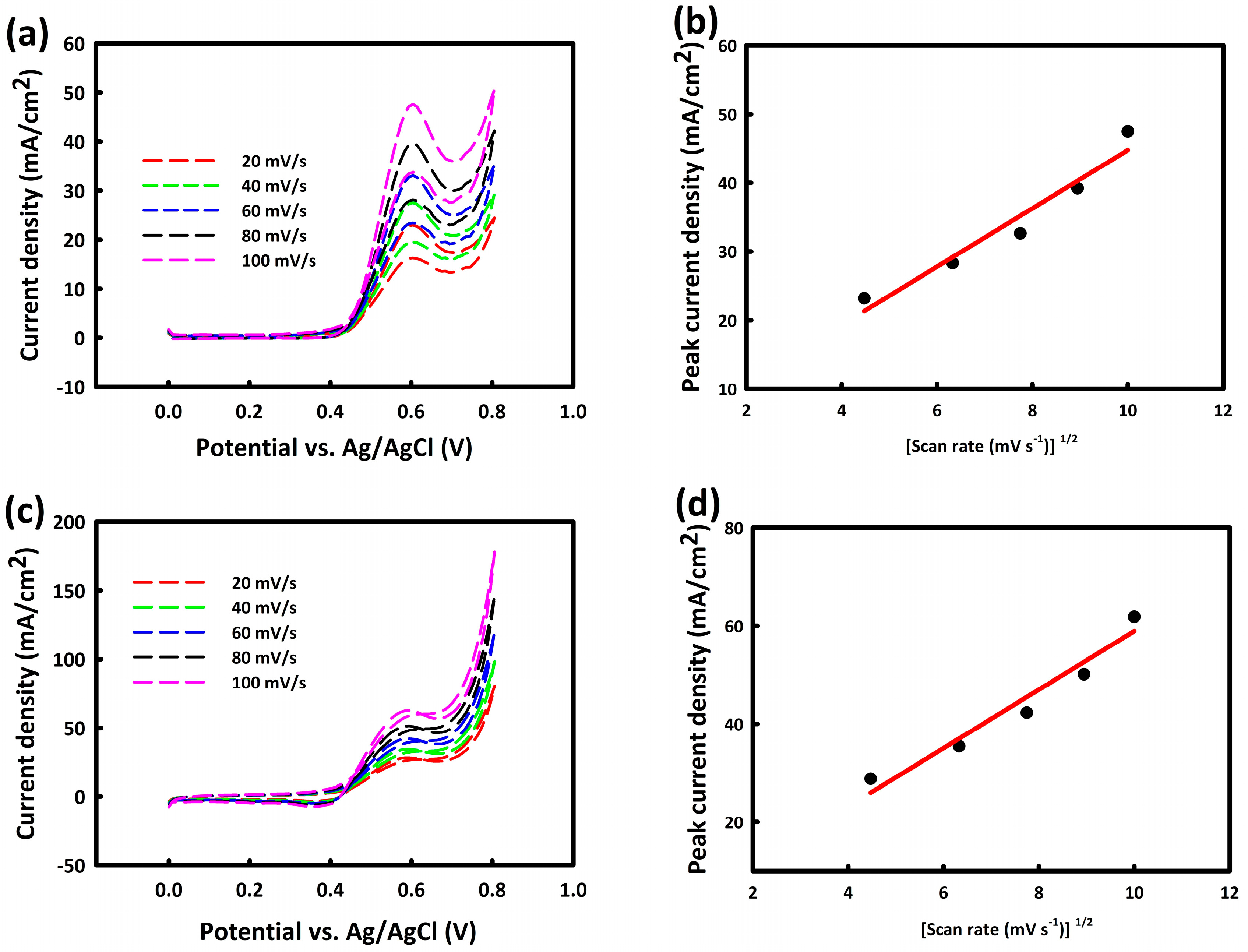 Catalysts 14 00302 g005