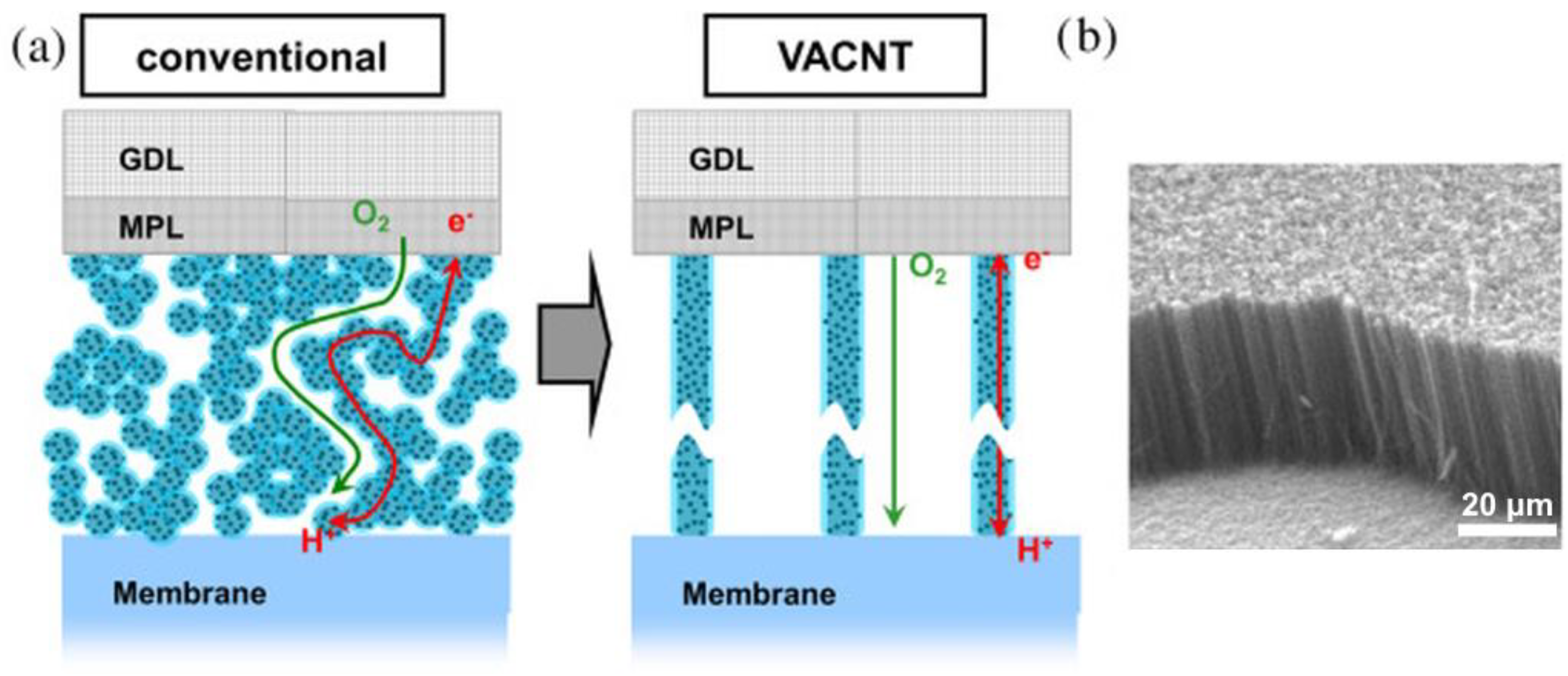 Catalysts 14 00303 g004