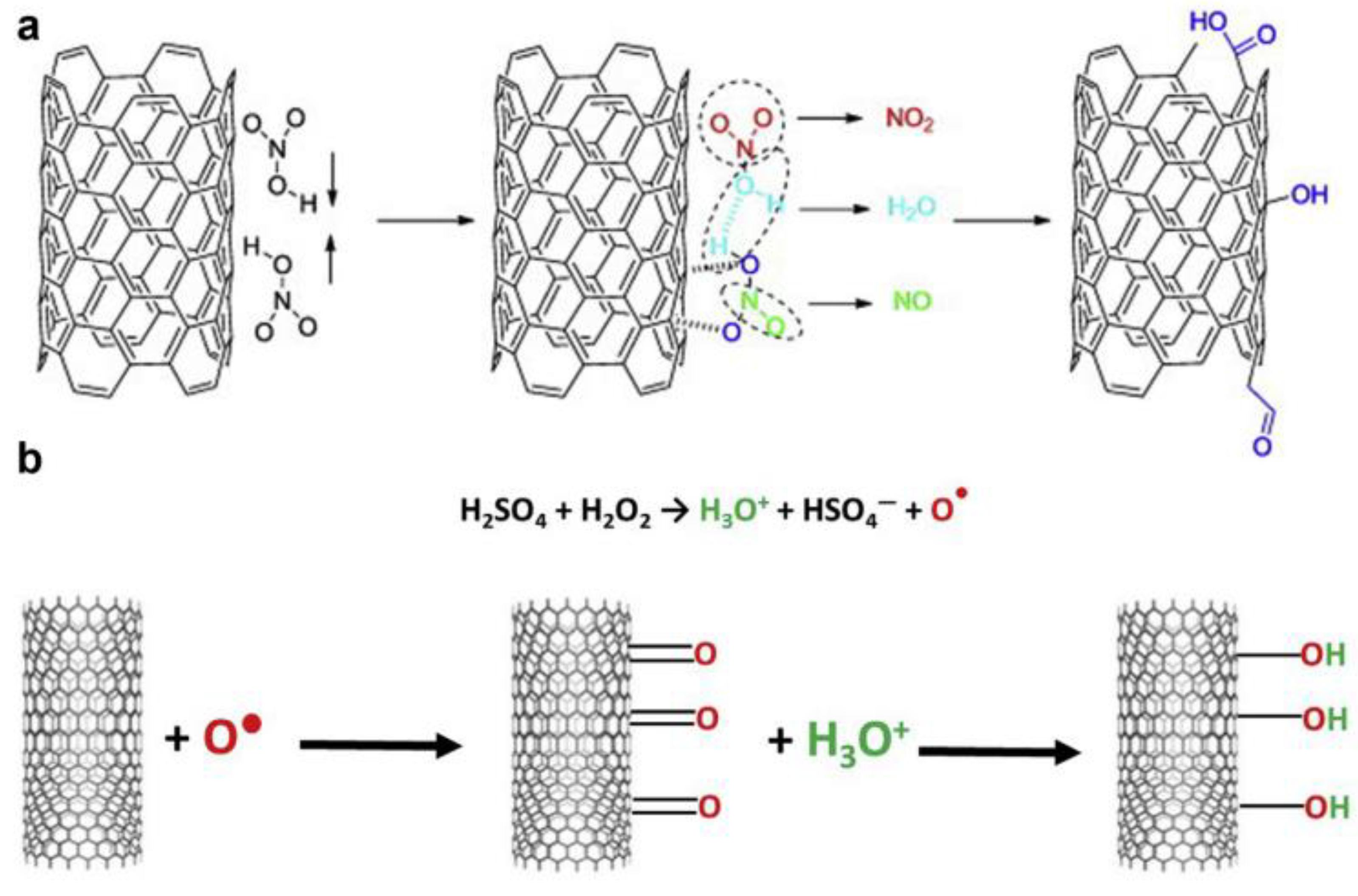 Catalysts 14 00303 g005
