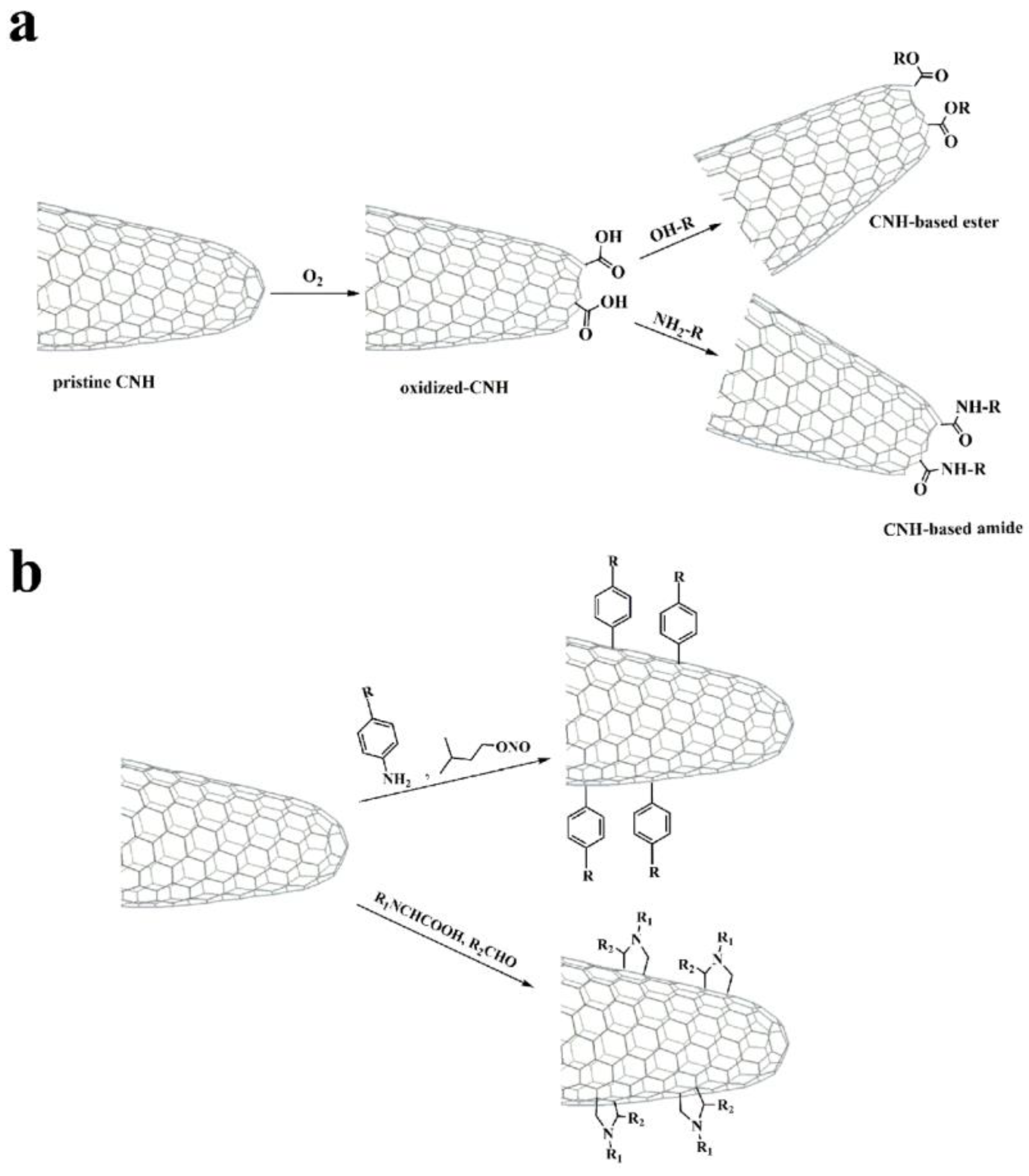 Catalysts 14 00303 g007