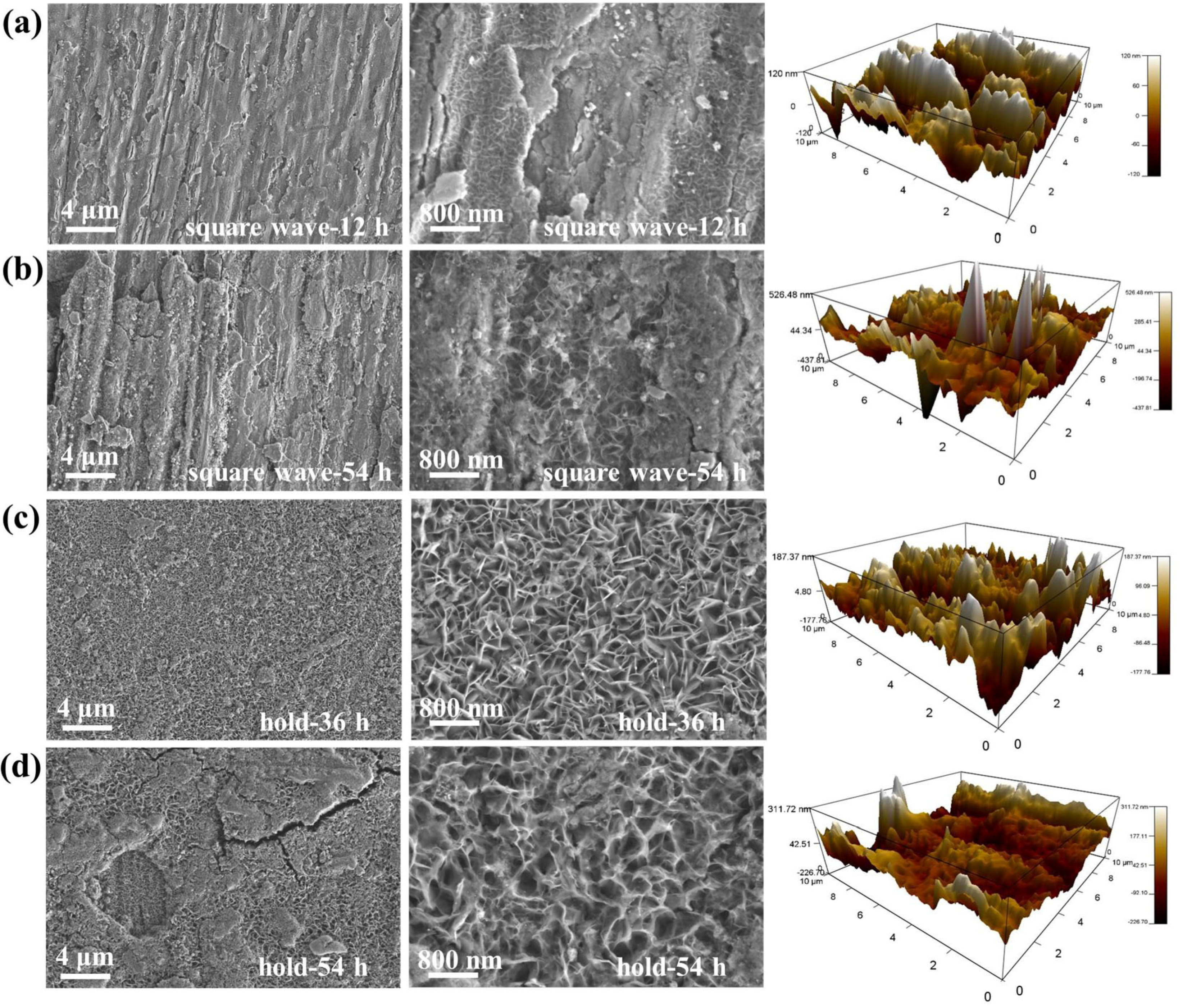 Catalysts 14 00307 g004