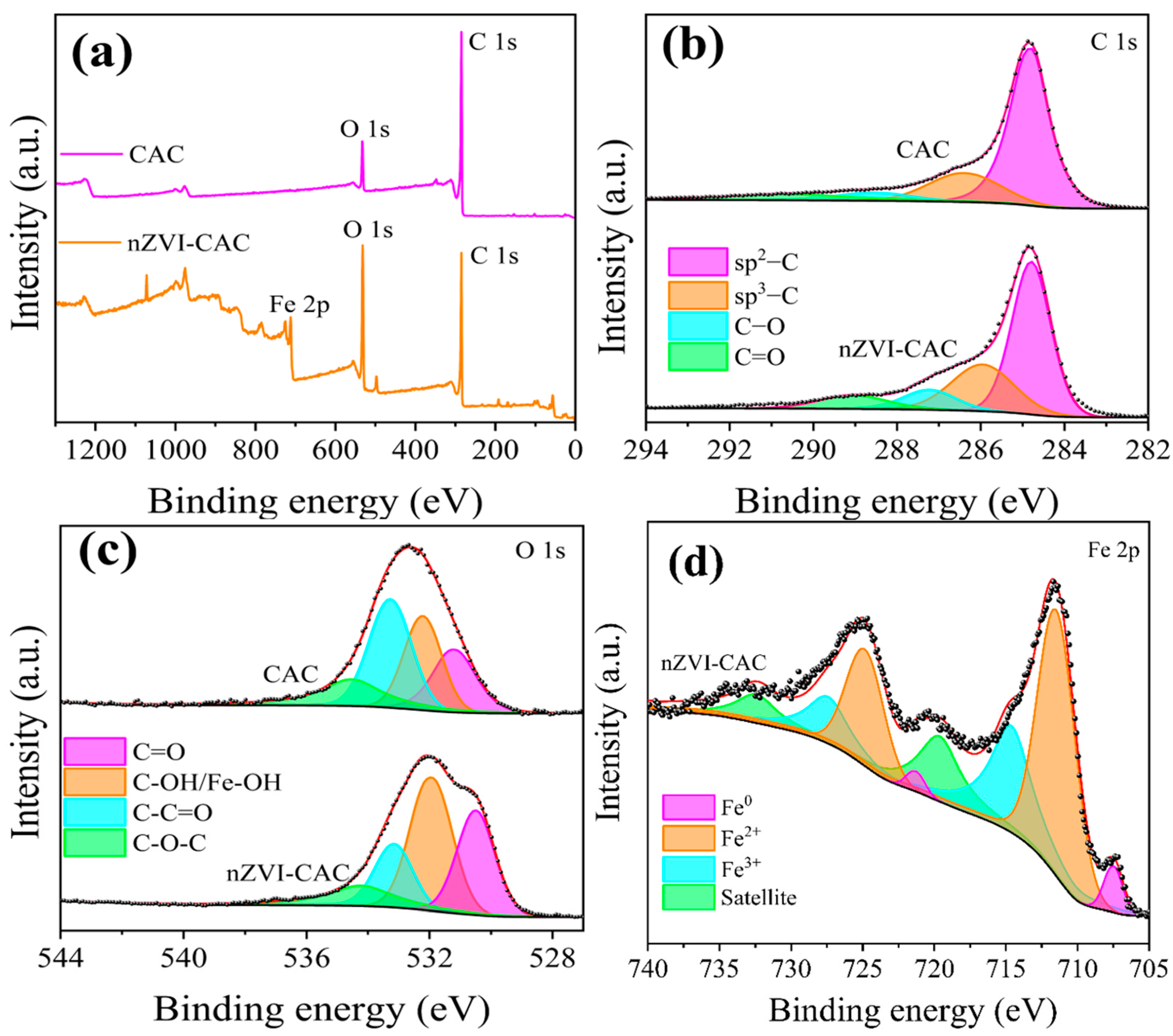 Catalysts 14 00311 g004