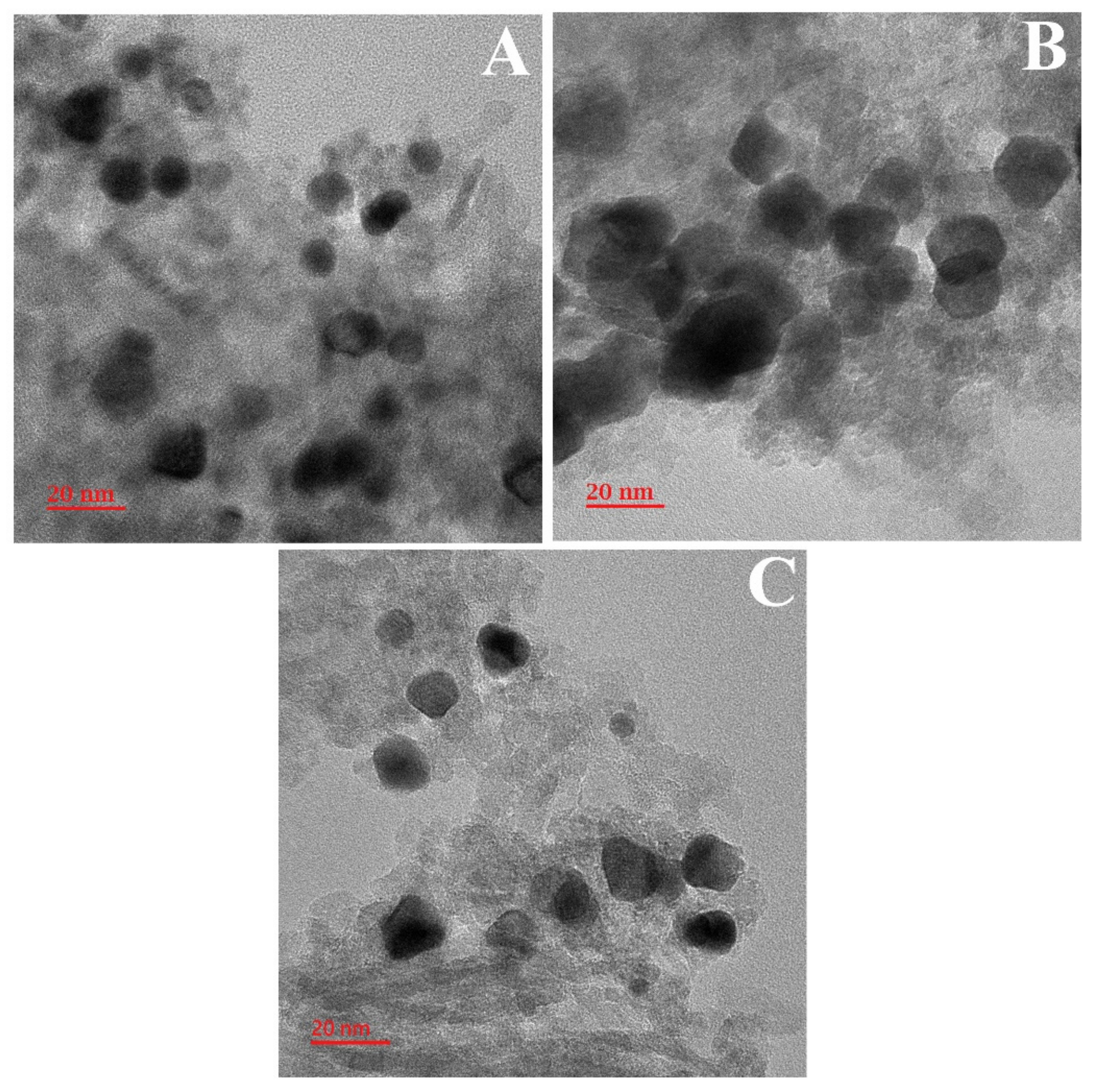 Catalysts 14 00312 g007 Catalysts 14 00312 g007