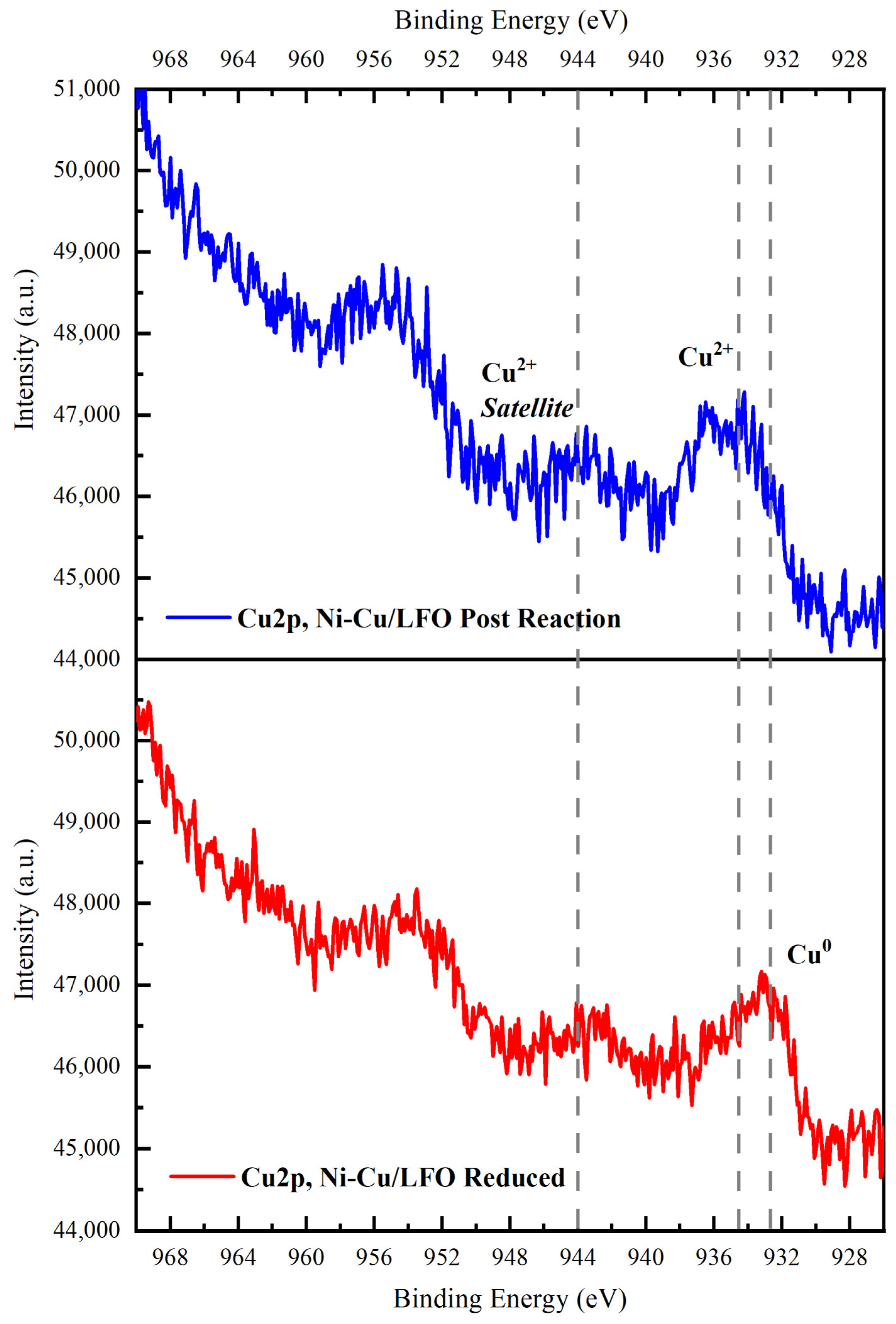 Catalysts 14 00313 g009