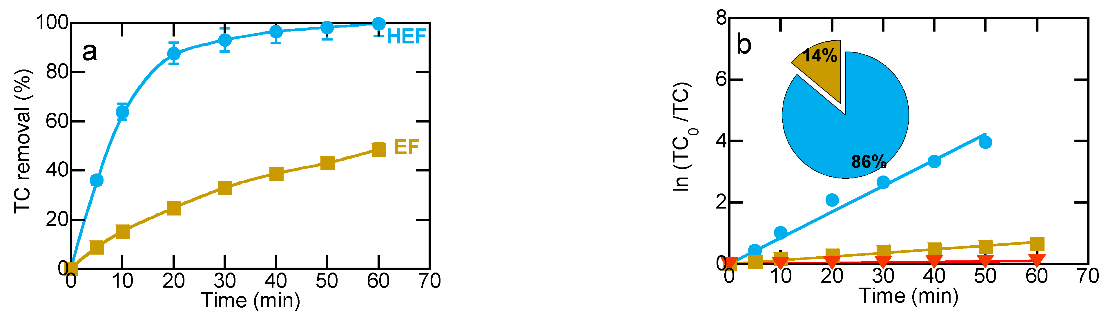Catalysts 14 00314 g003