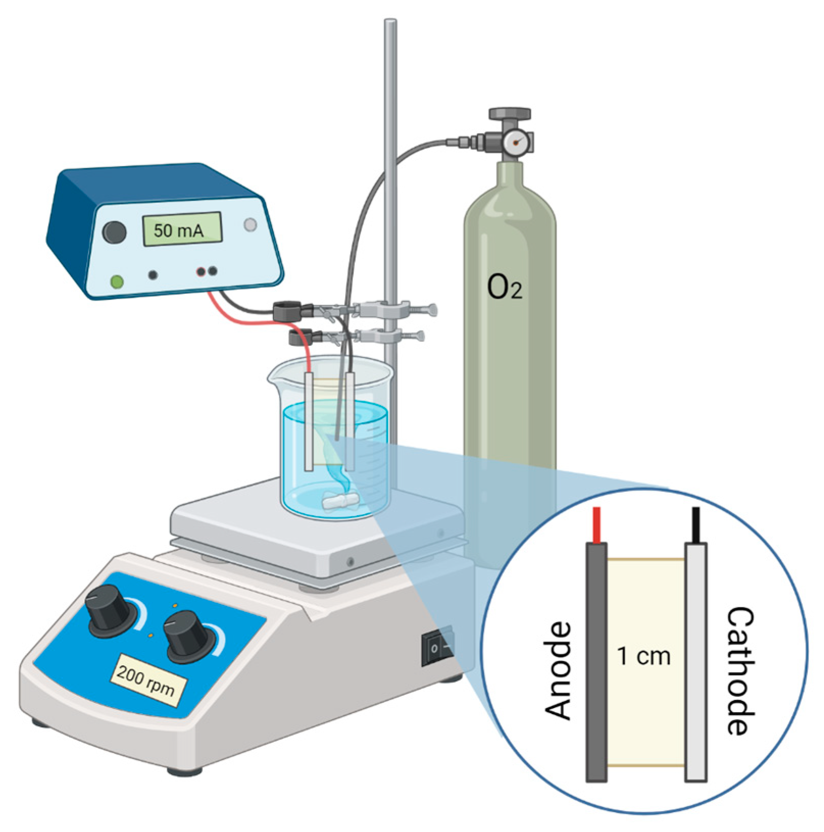 Catalysts 14 00314 g006