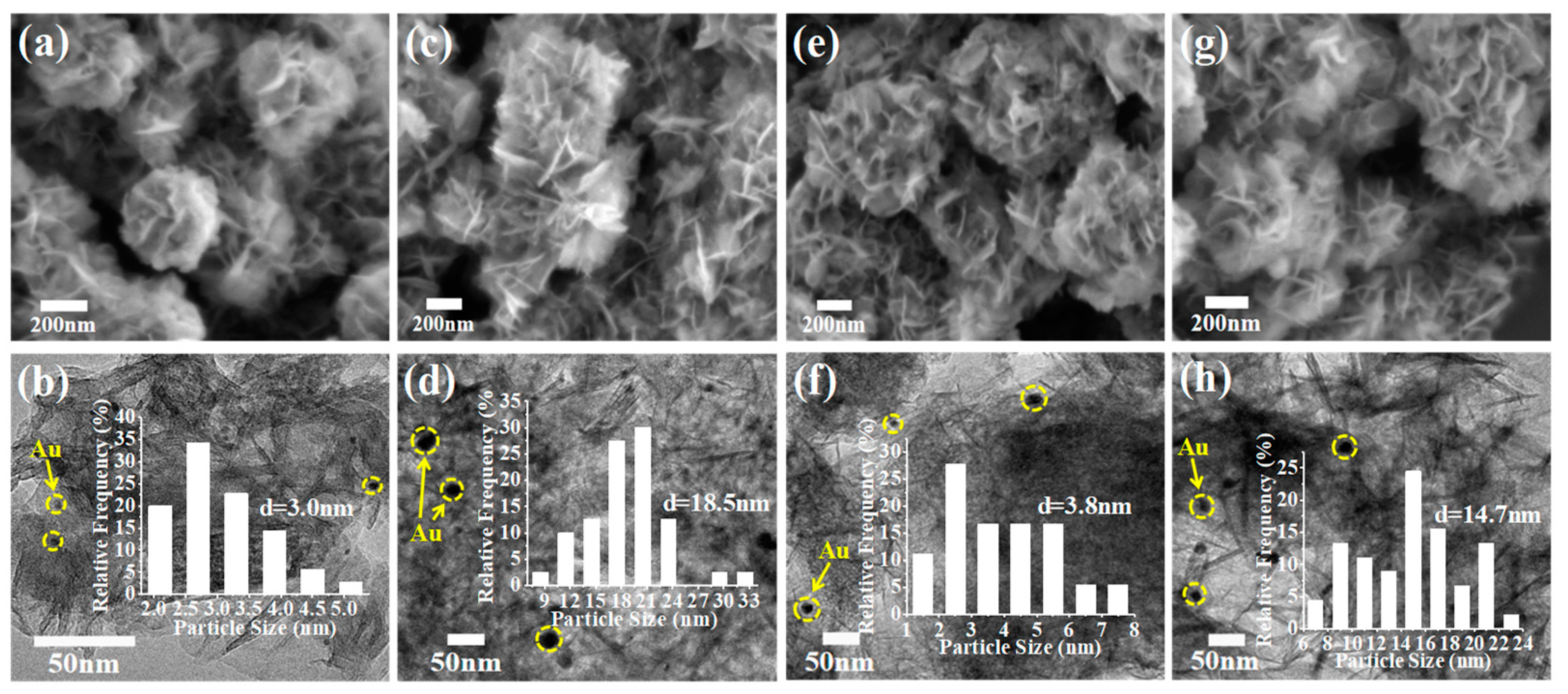 Catalysts 14 00315 g003