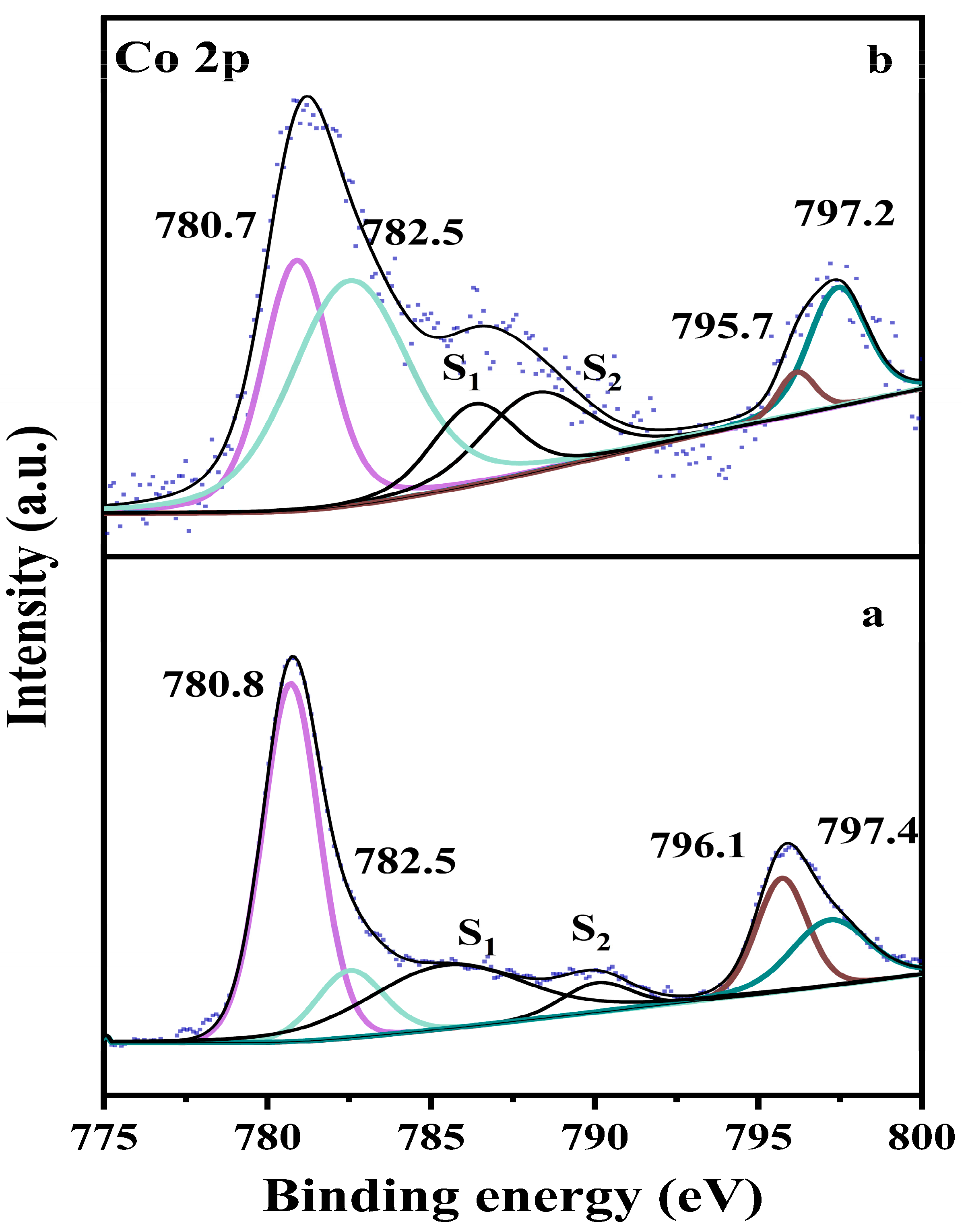Catalysts 14 00315 g008