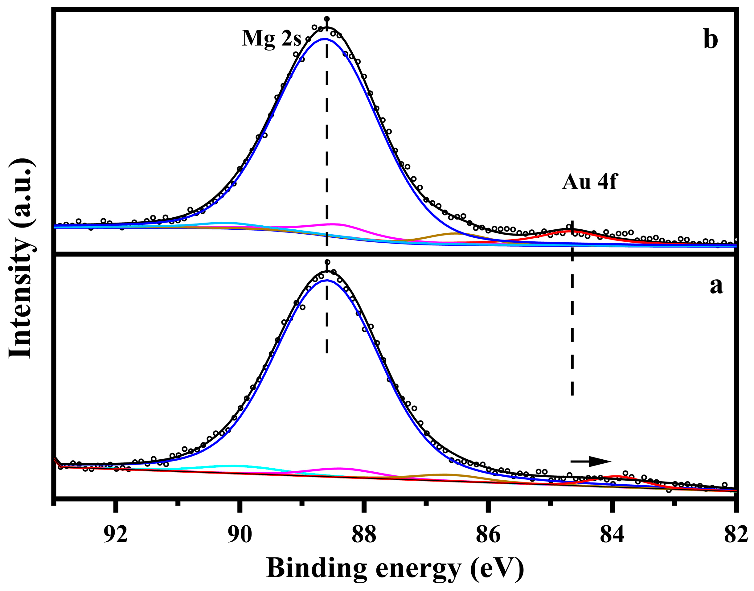 Catalysts 14 00315 g012