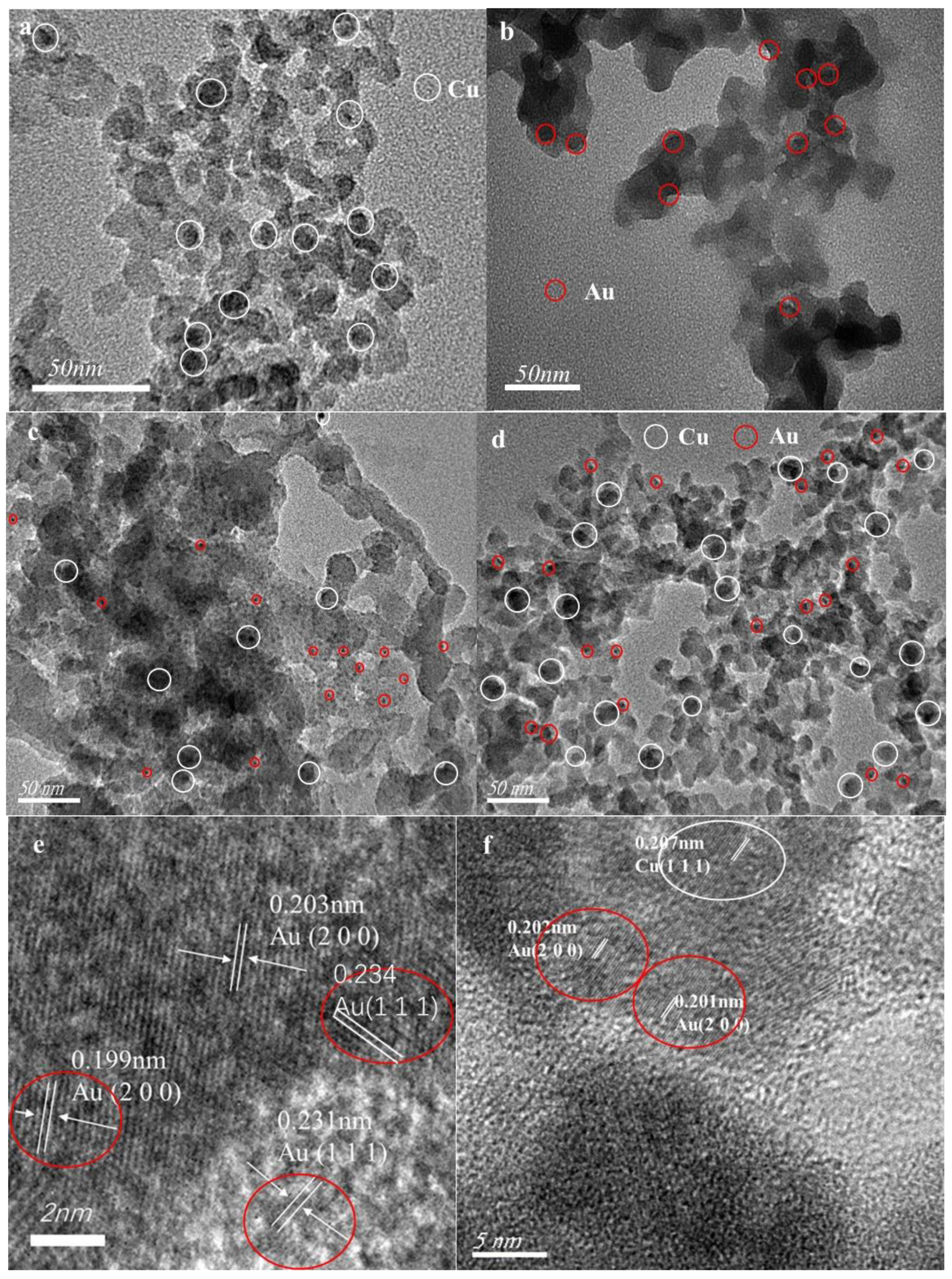 Catalysts 14 00318 g002