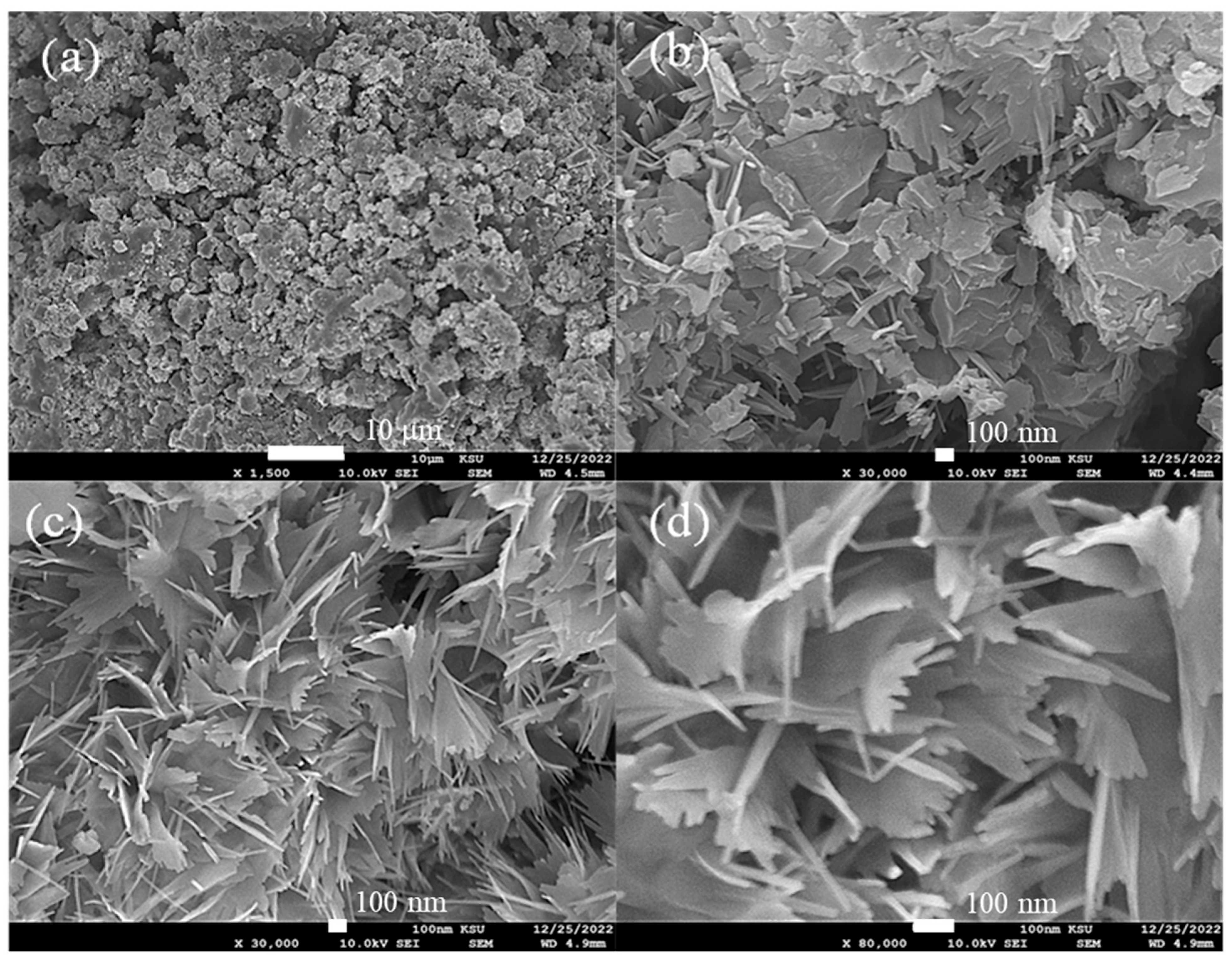 Catalysts 14 00325 g002 Catalysts 14 00325 g002