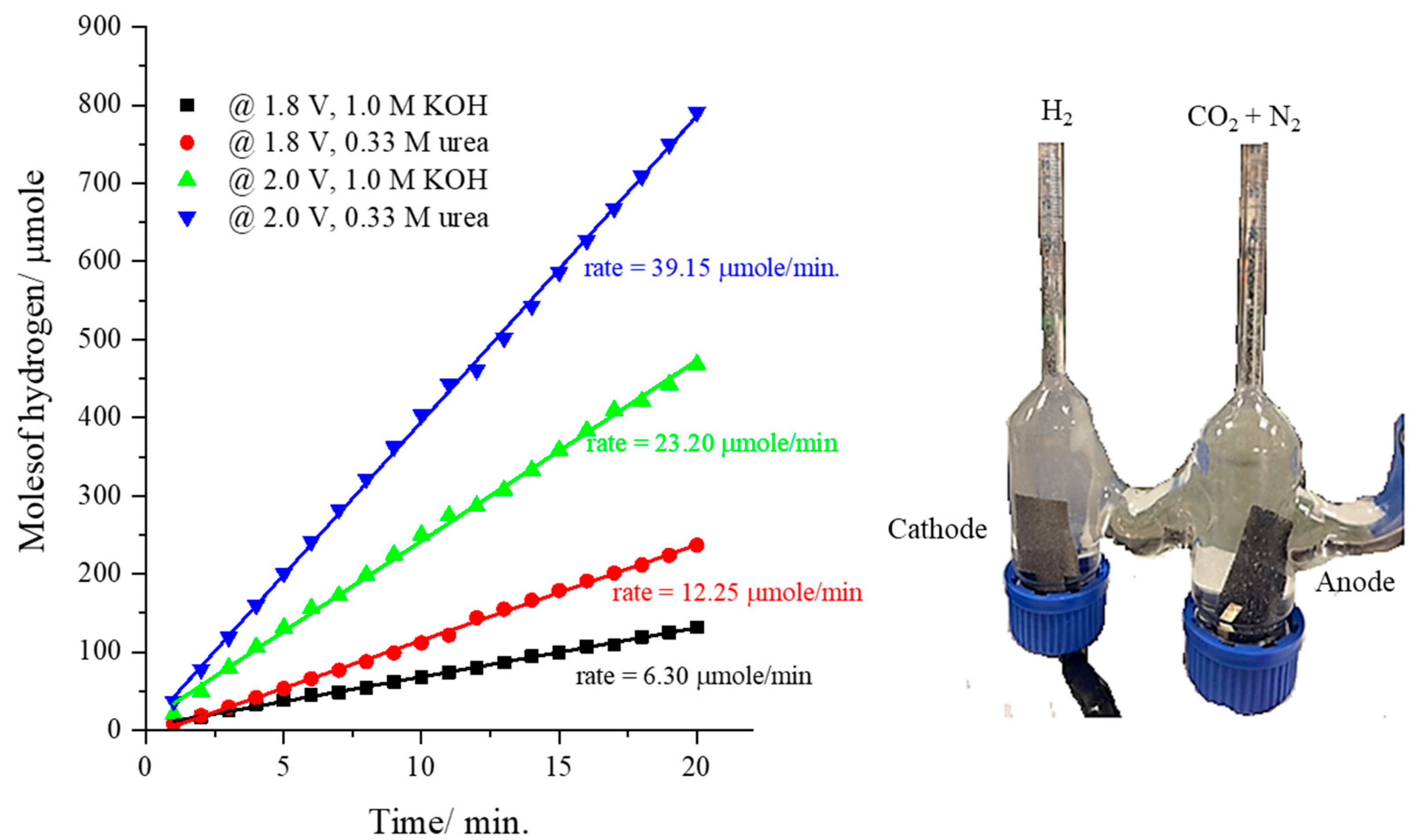 Catalysts 14 00325 g008 Catalysts 14 00325 g008