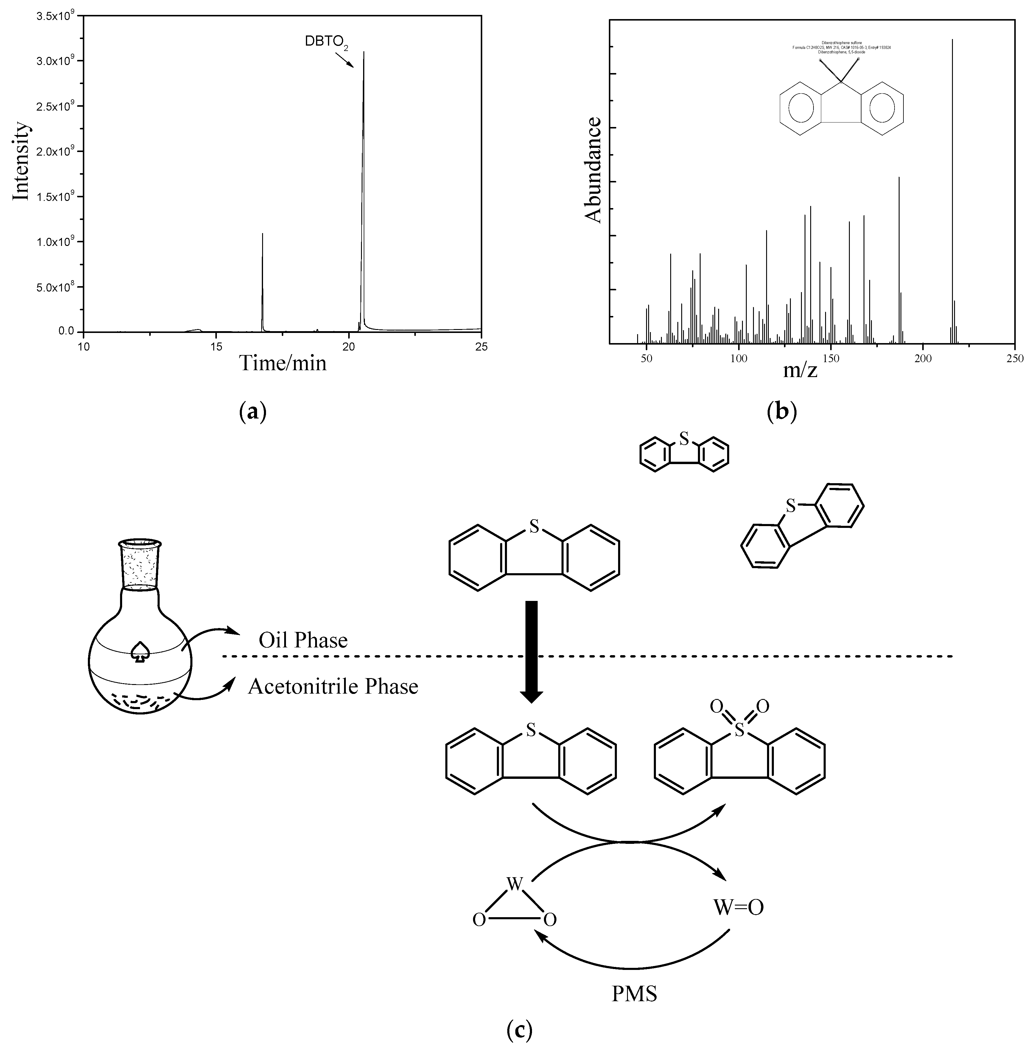 Catalysts 14 00326 g004