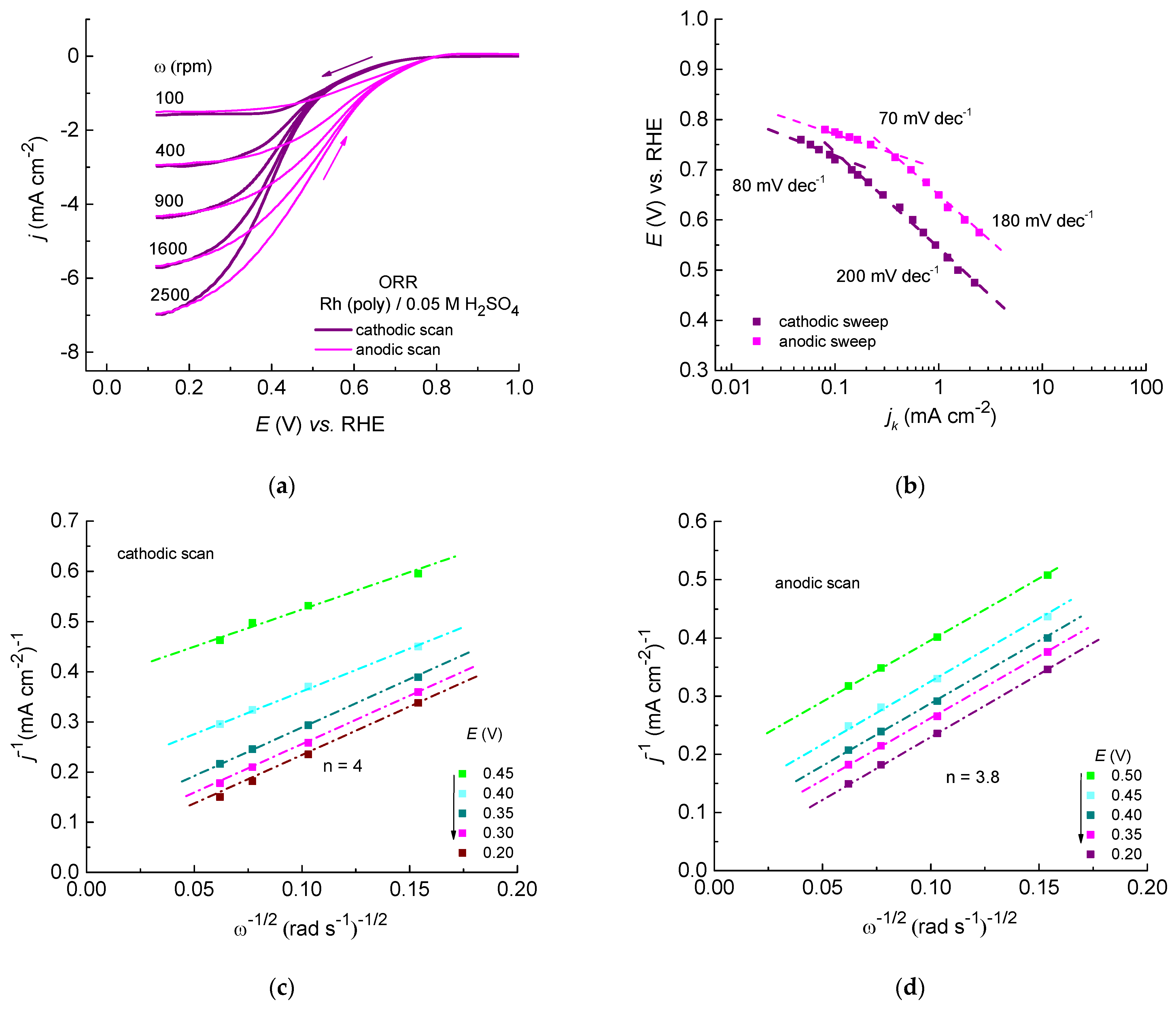 Catalysts 14 00327 g003