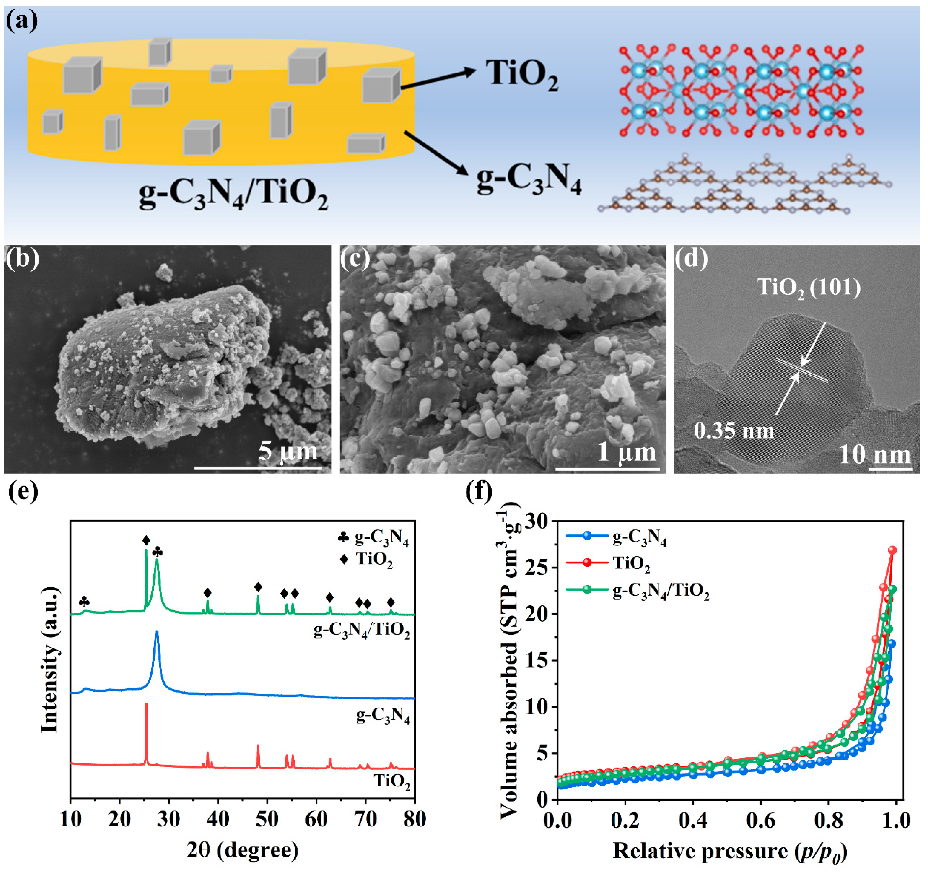 Catalysts 14 00335 g001
