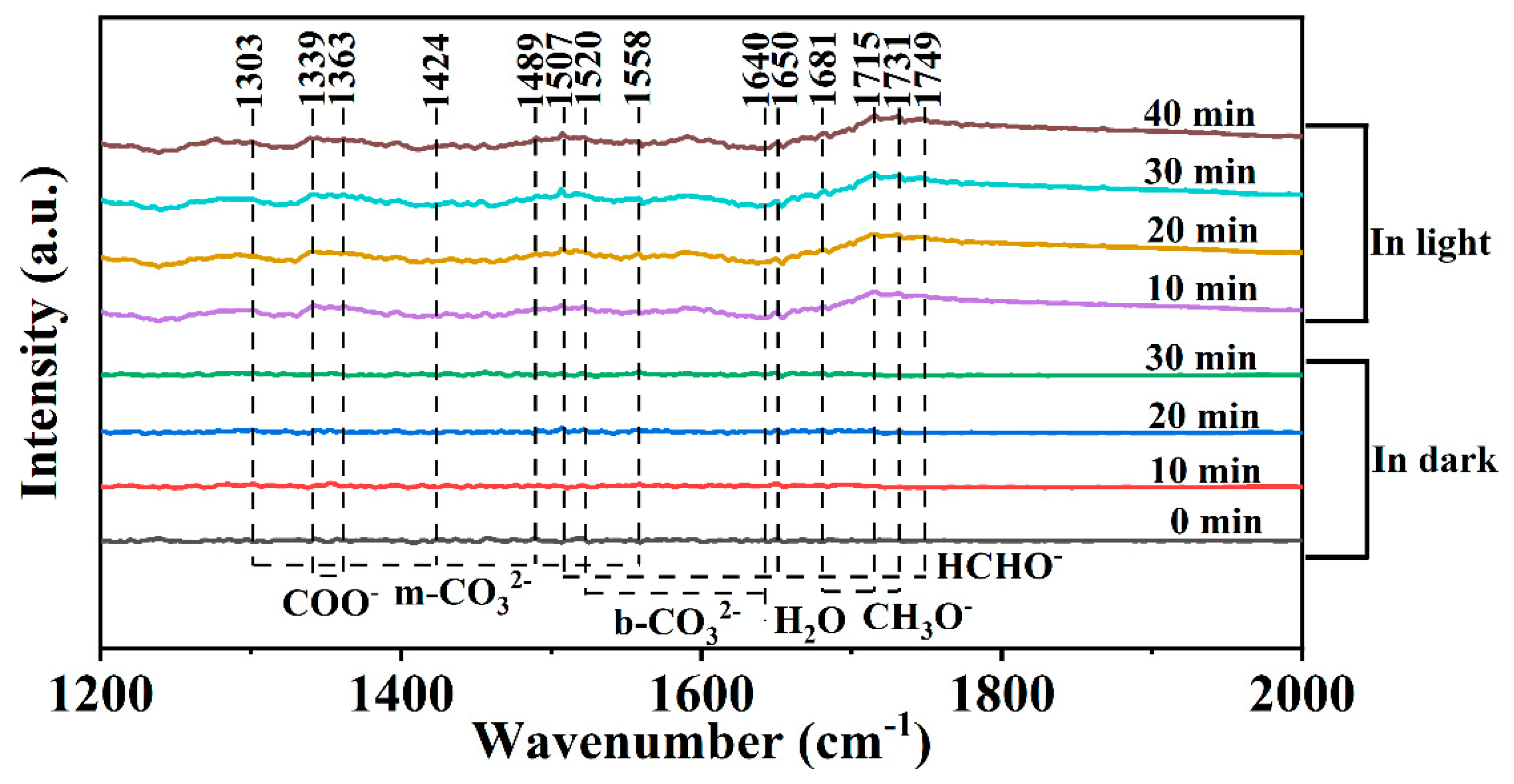 Catalysts 14 00335 g006