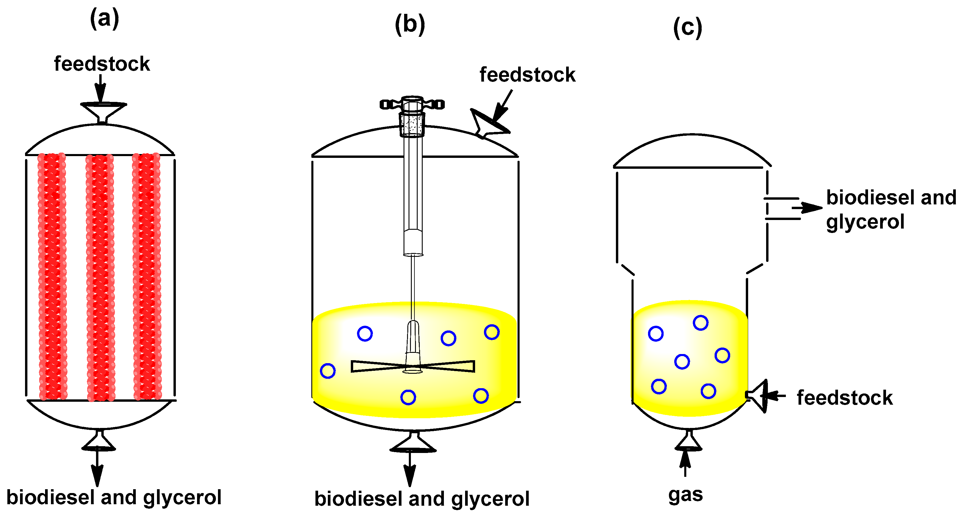 Catalysts 14 00336 g005