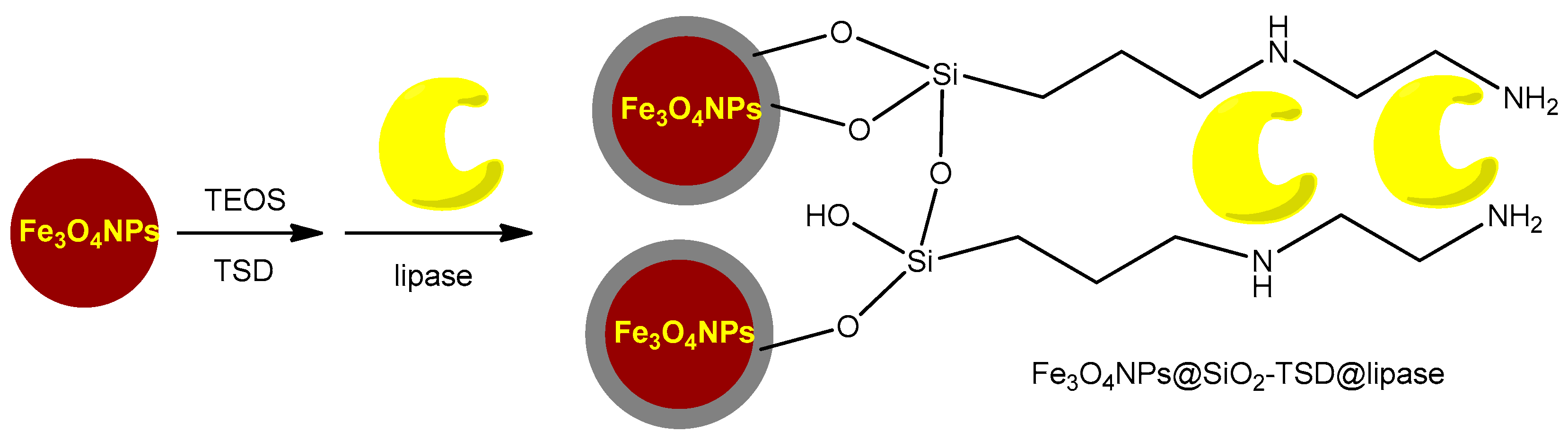 Catalysts 14 00336 g006