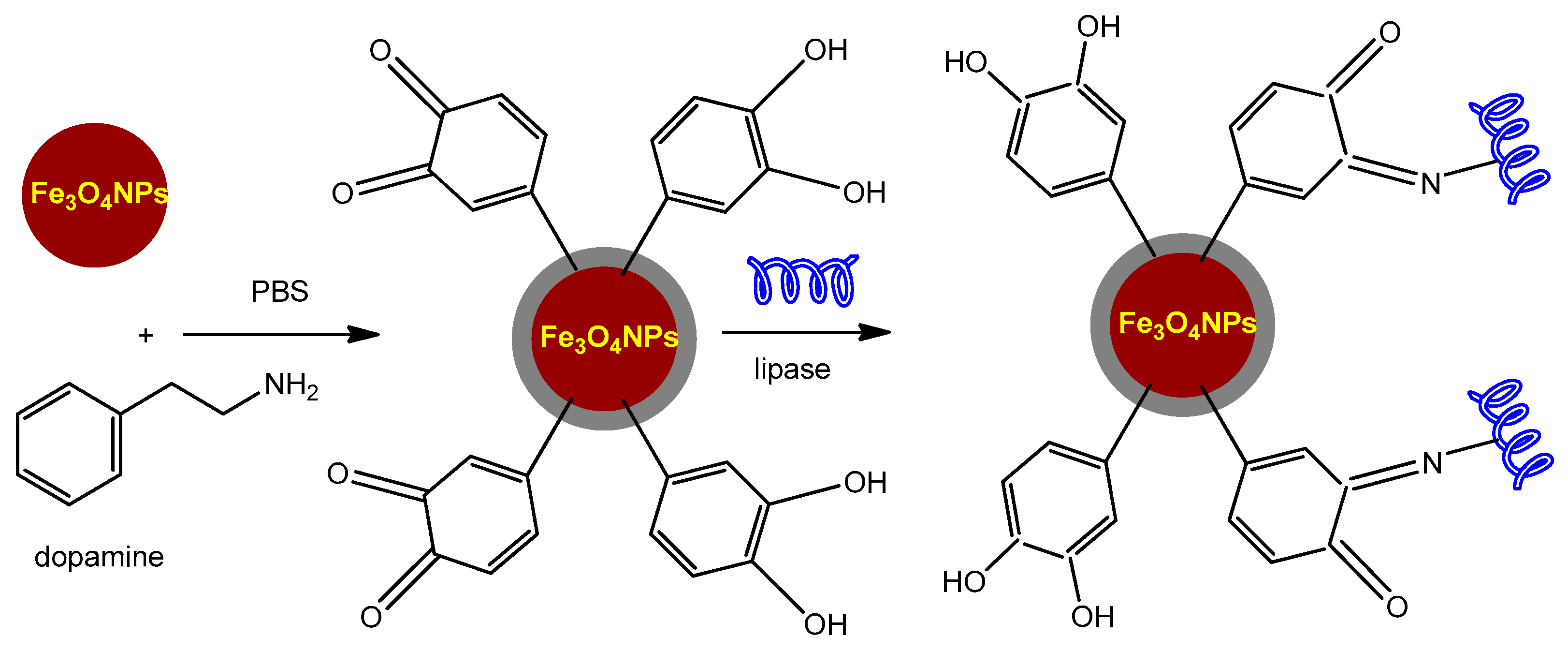Catalysts 14 00336 g014