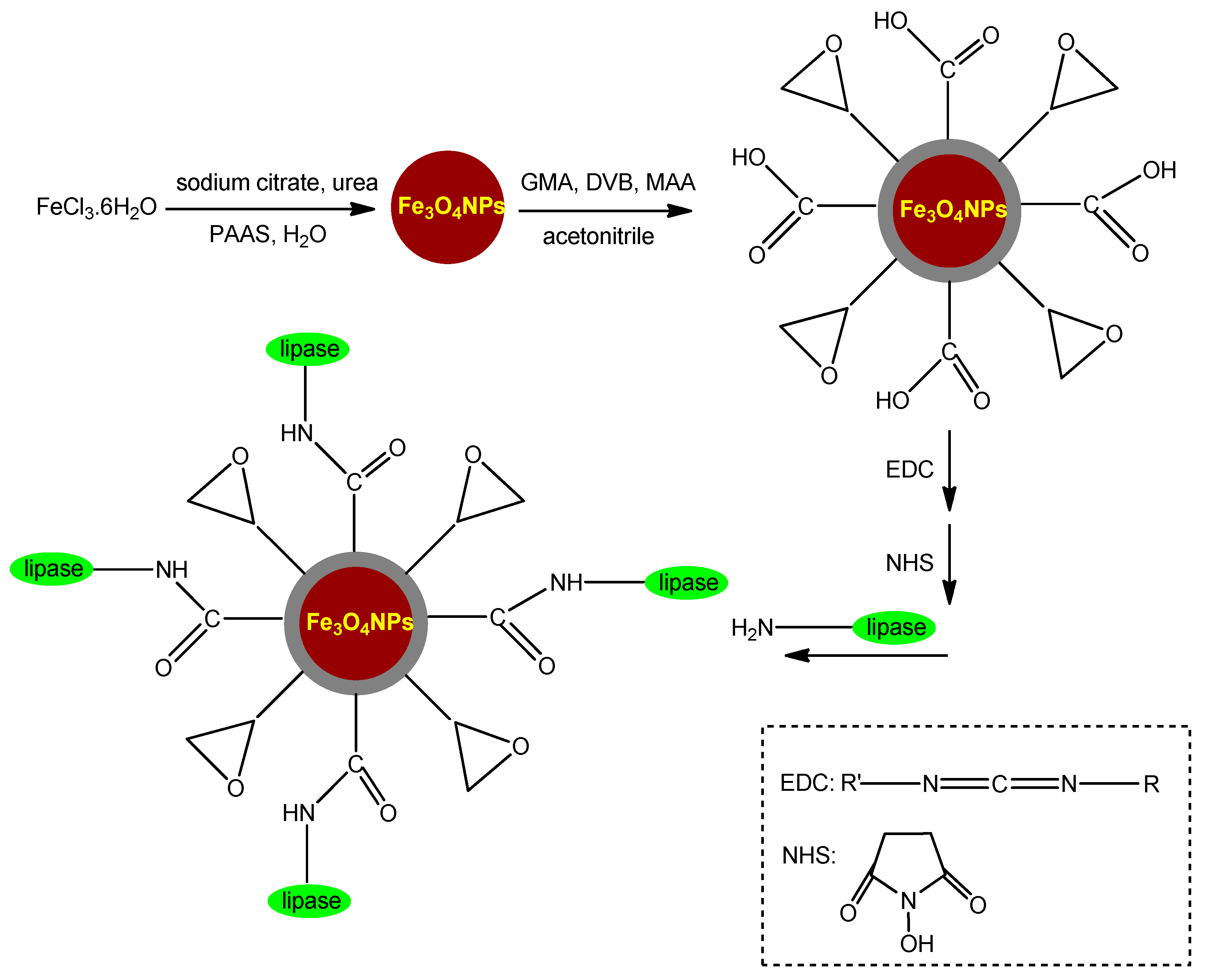 Catalysts 14 00336 g015