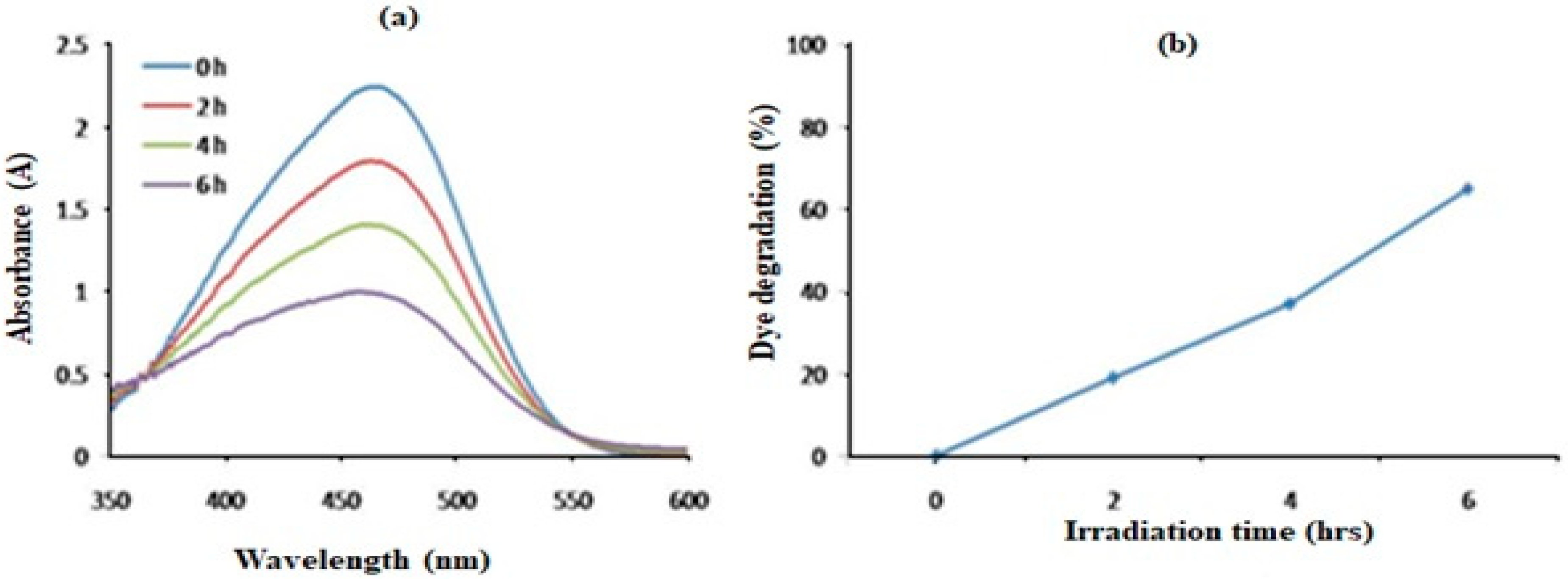 Catalysts 14 00337 g007