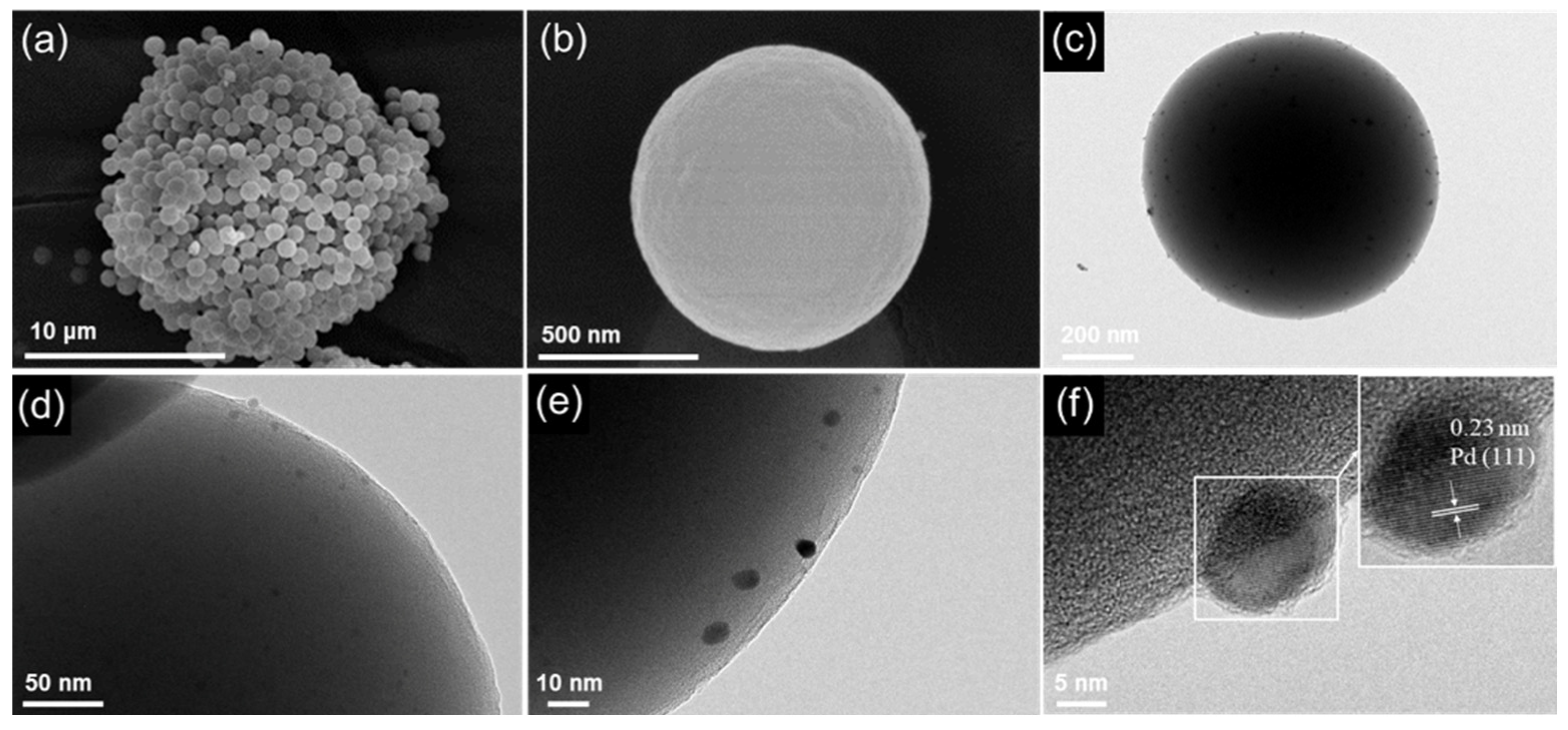 Catalysts 14 00345 g003