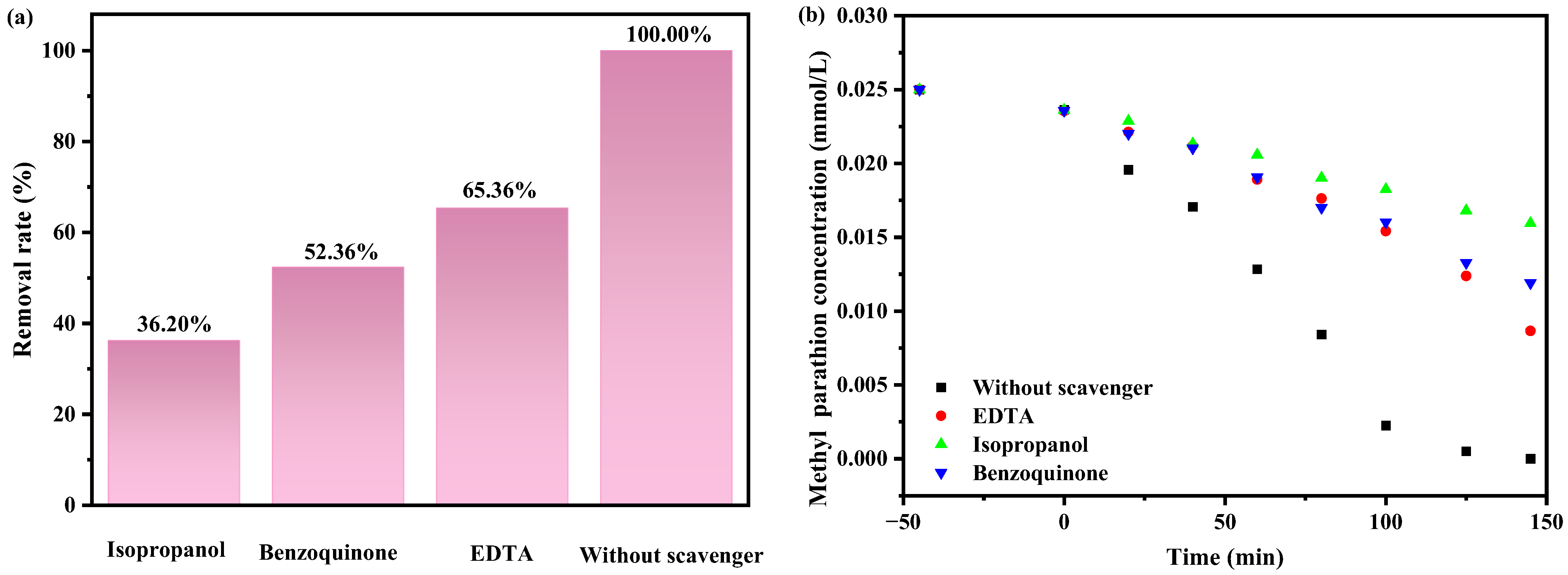 Catalysts 14 00346 g020