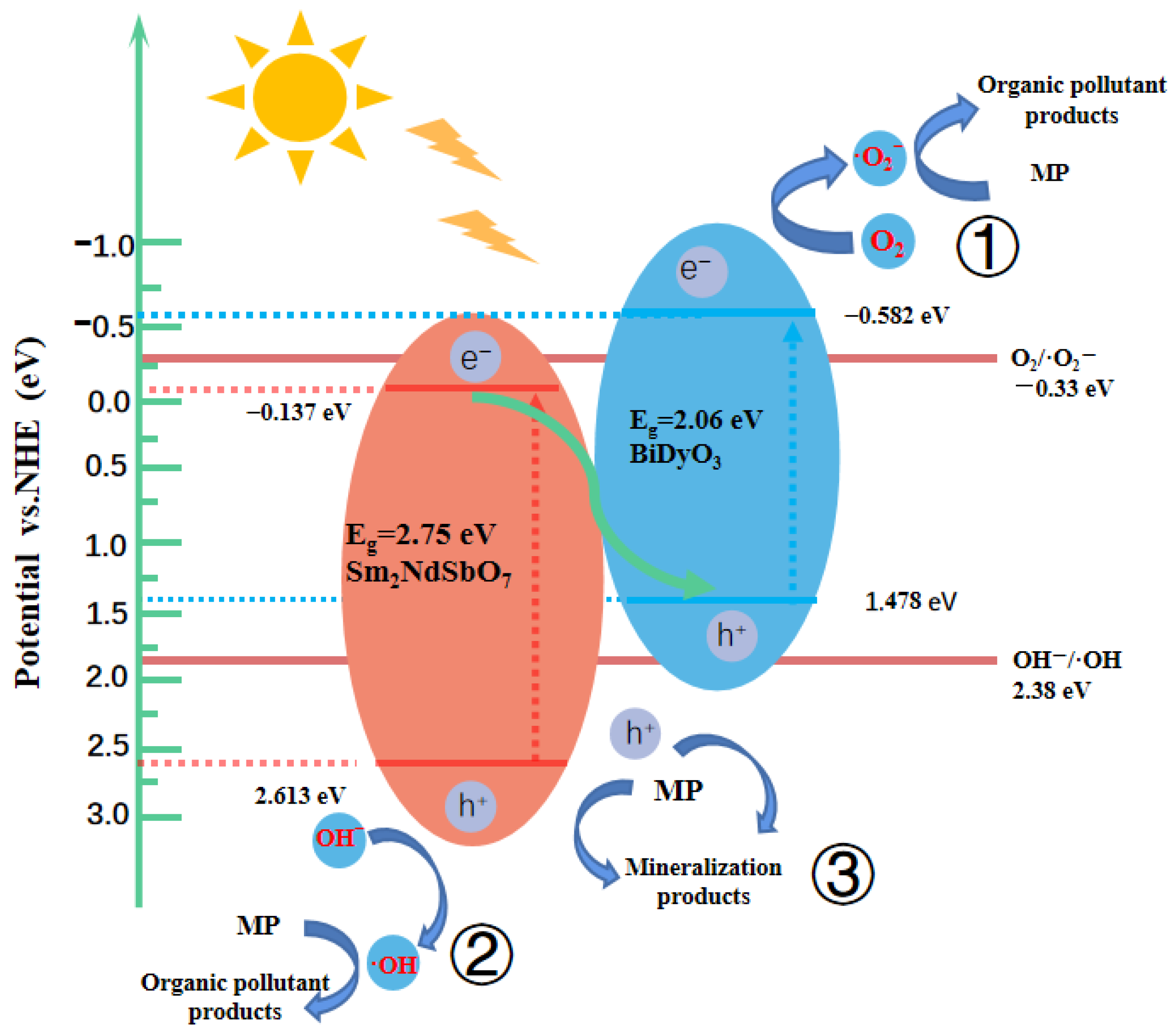 Catalysts 14 00346 g024