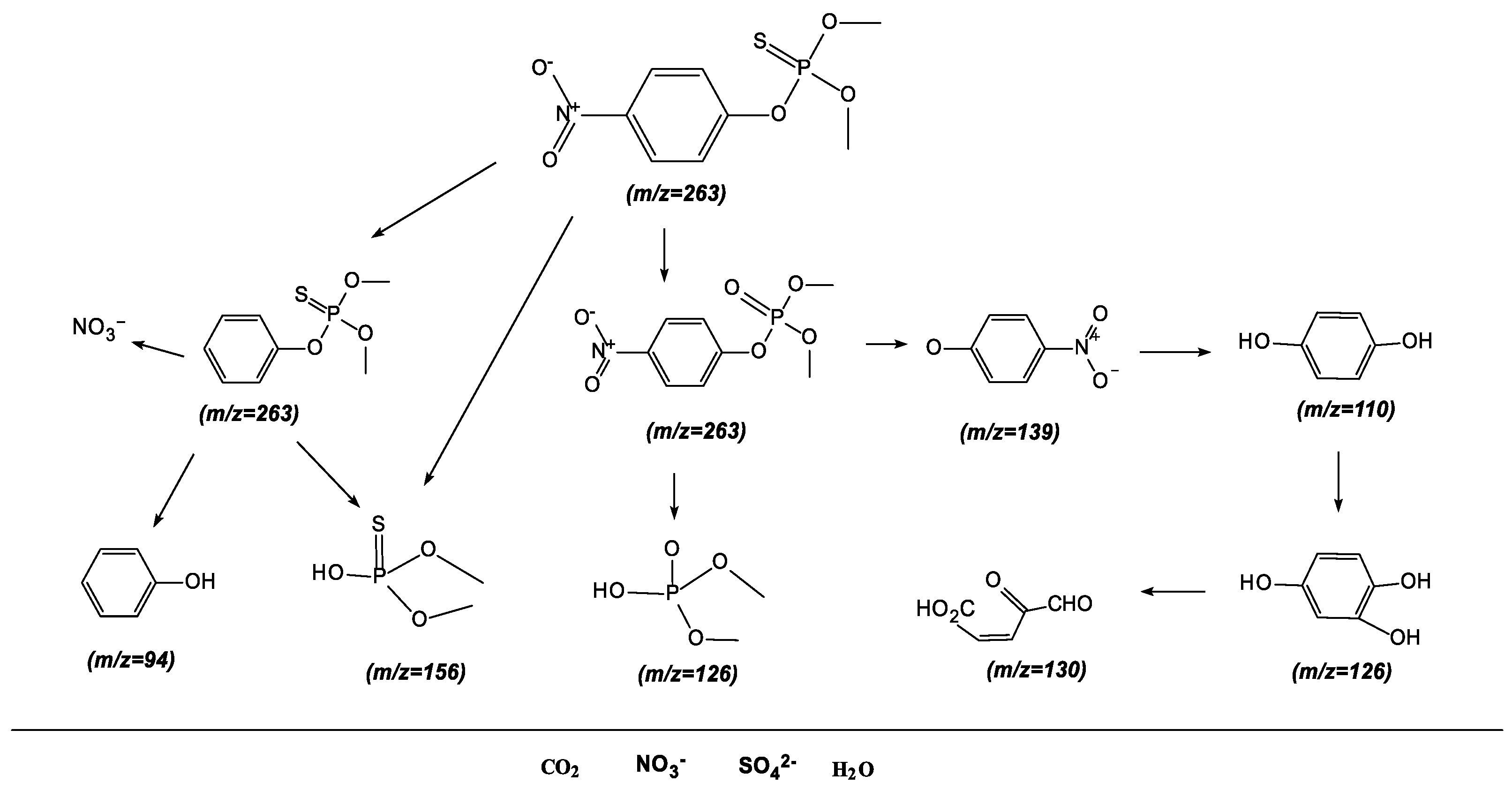 Catalysts 14 00346 g025