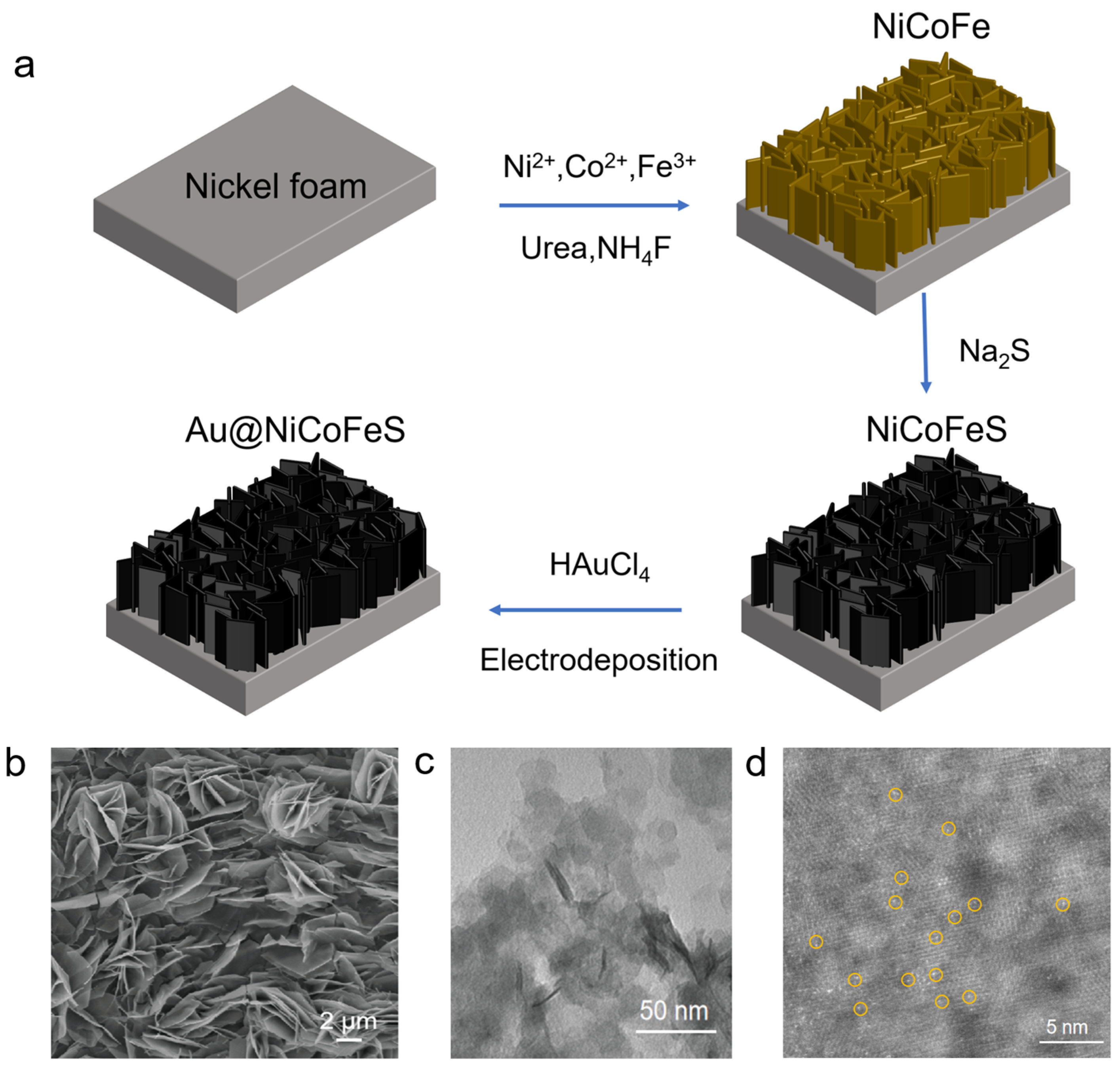 Catalysts 14 00348 g001