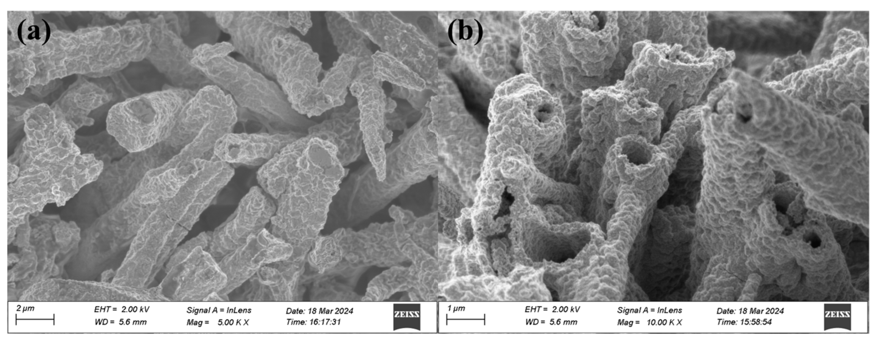 Catalysts 14 00361 g003